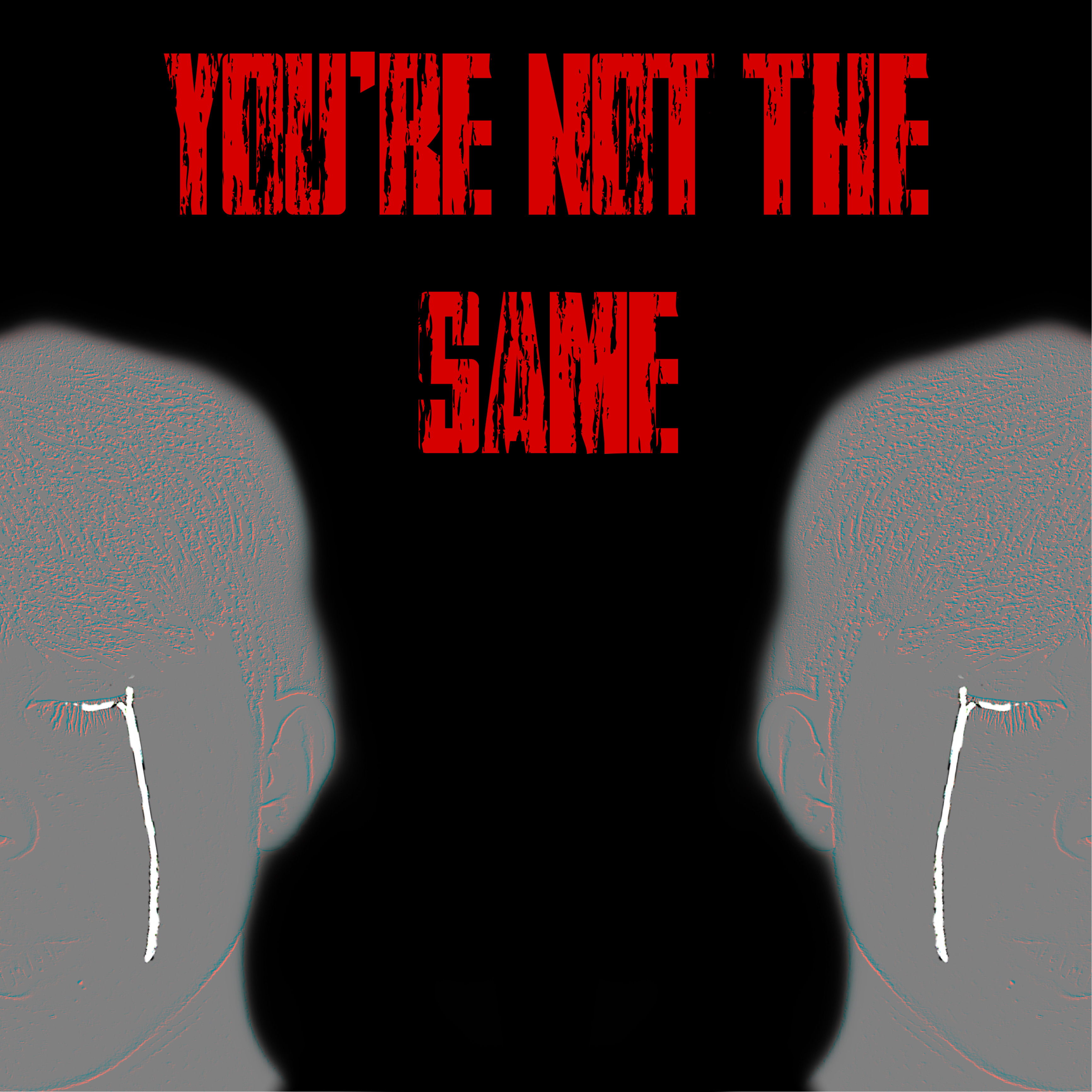 YOU'RE NOT THE SAME artwork