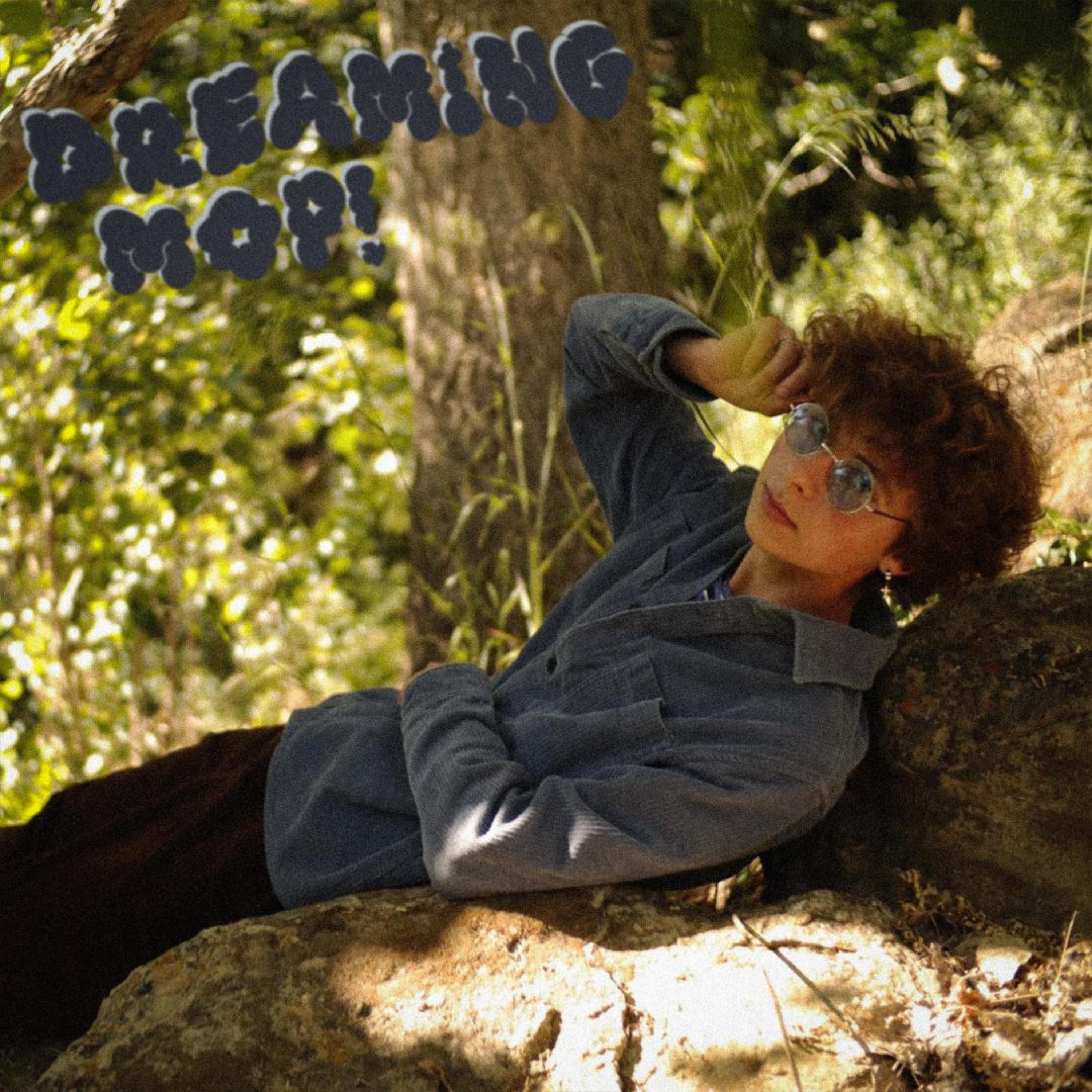 DREAMING artwork