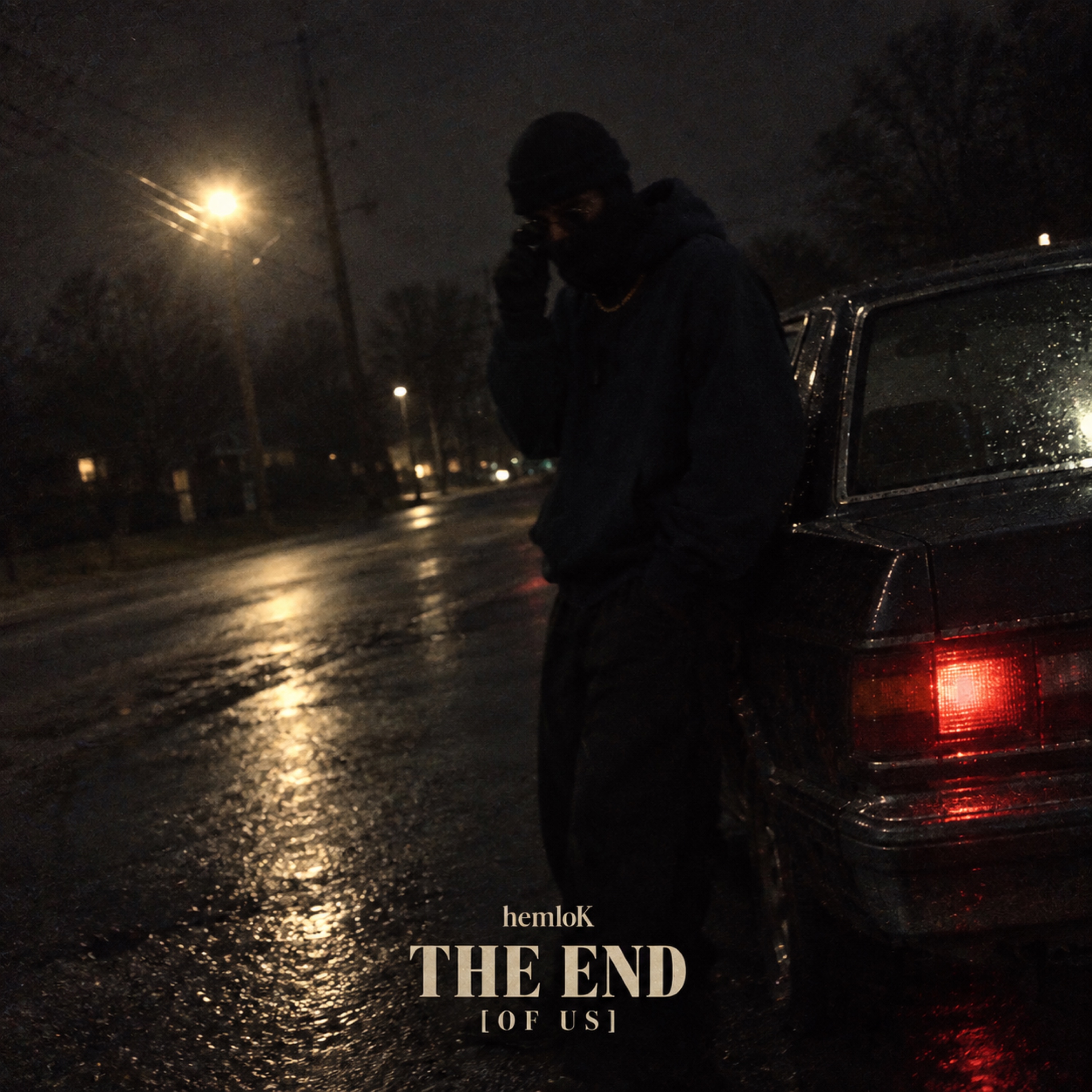 THE END [OF US] by hemloK cover art