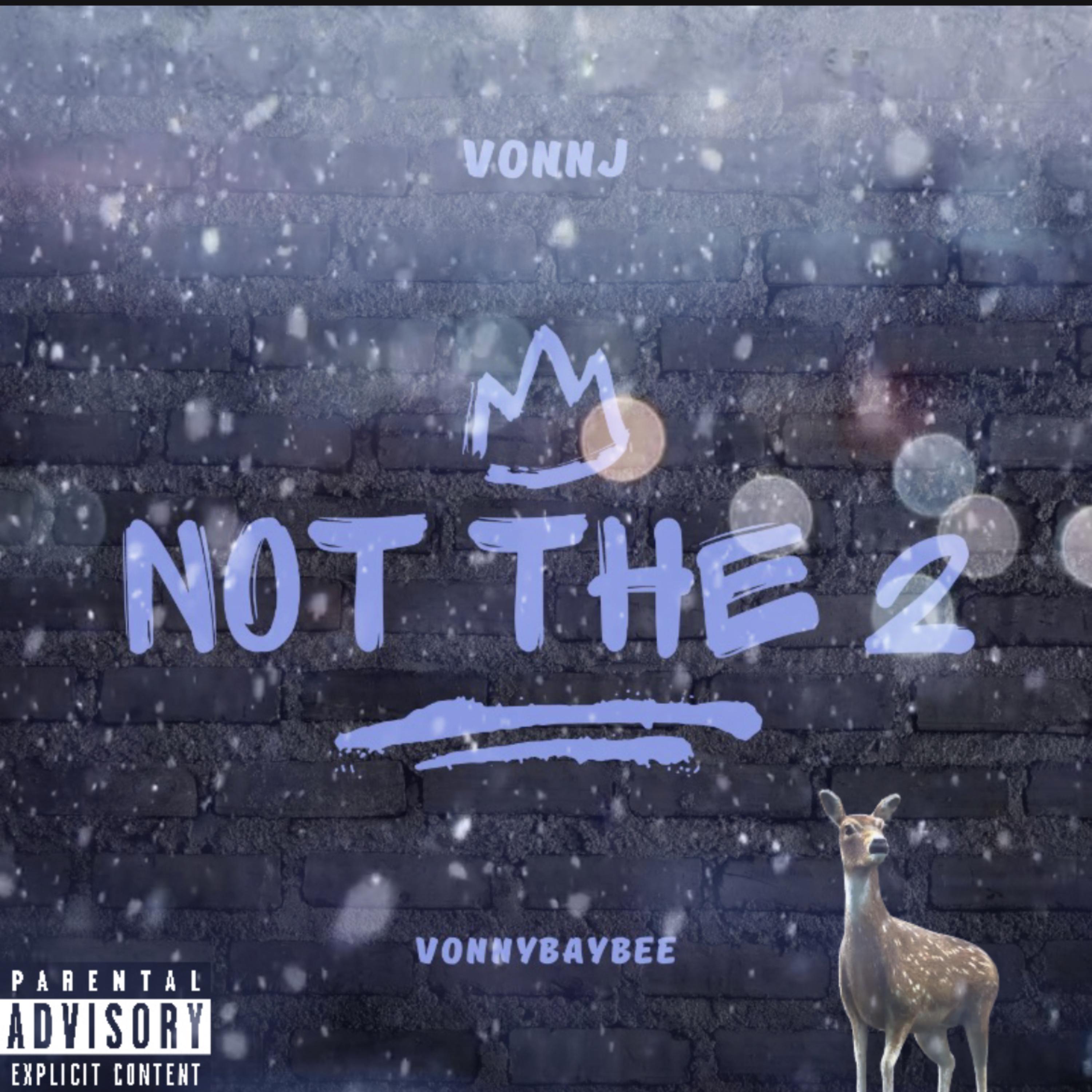 Not The 2 artwork
