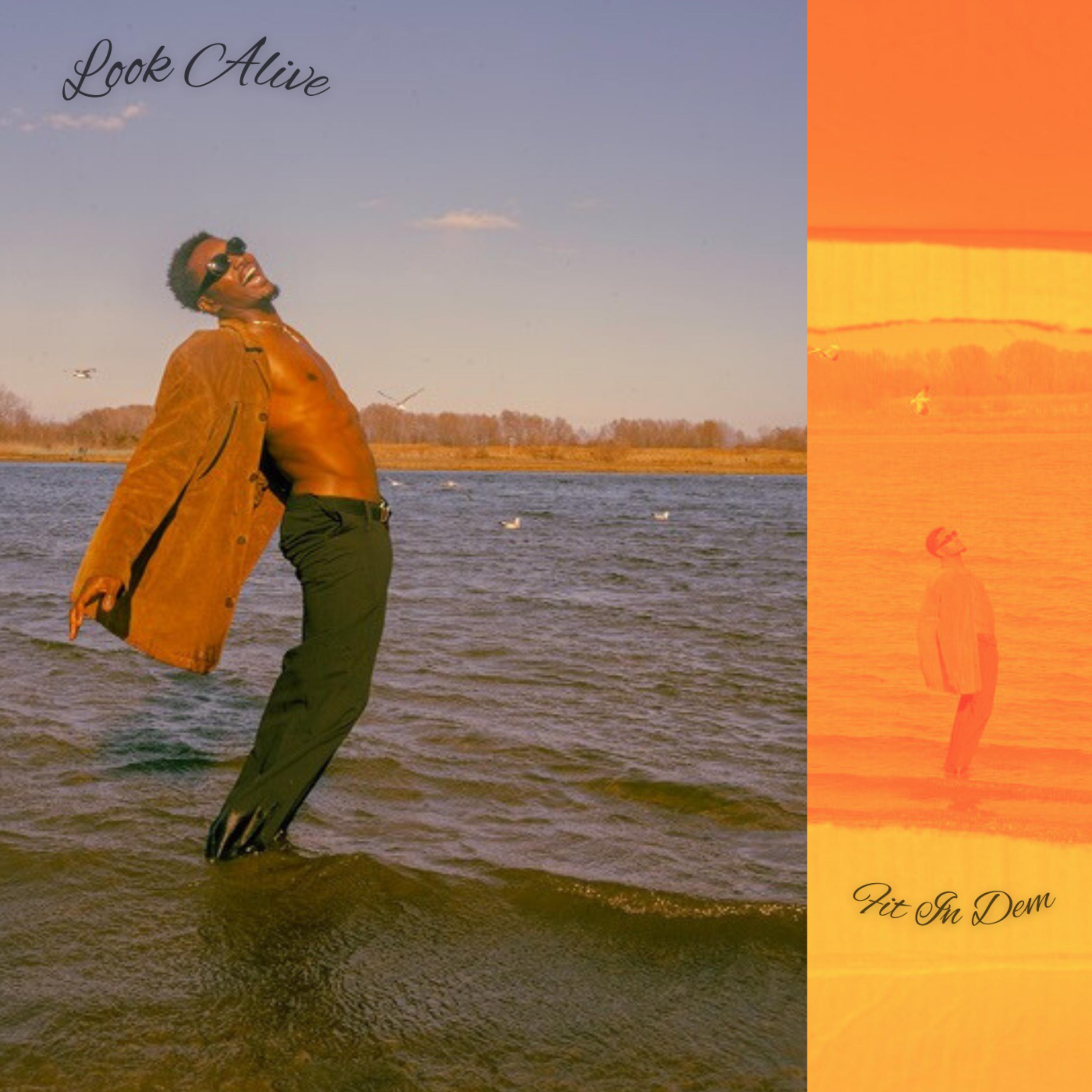 Look Alive / Fit In Dem artwork