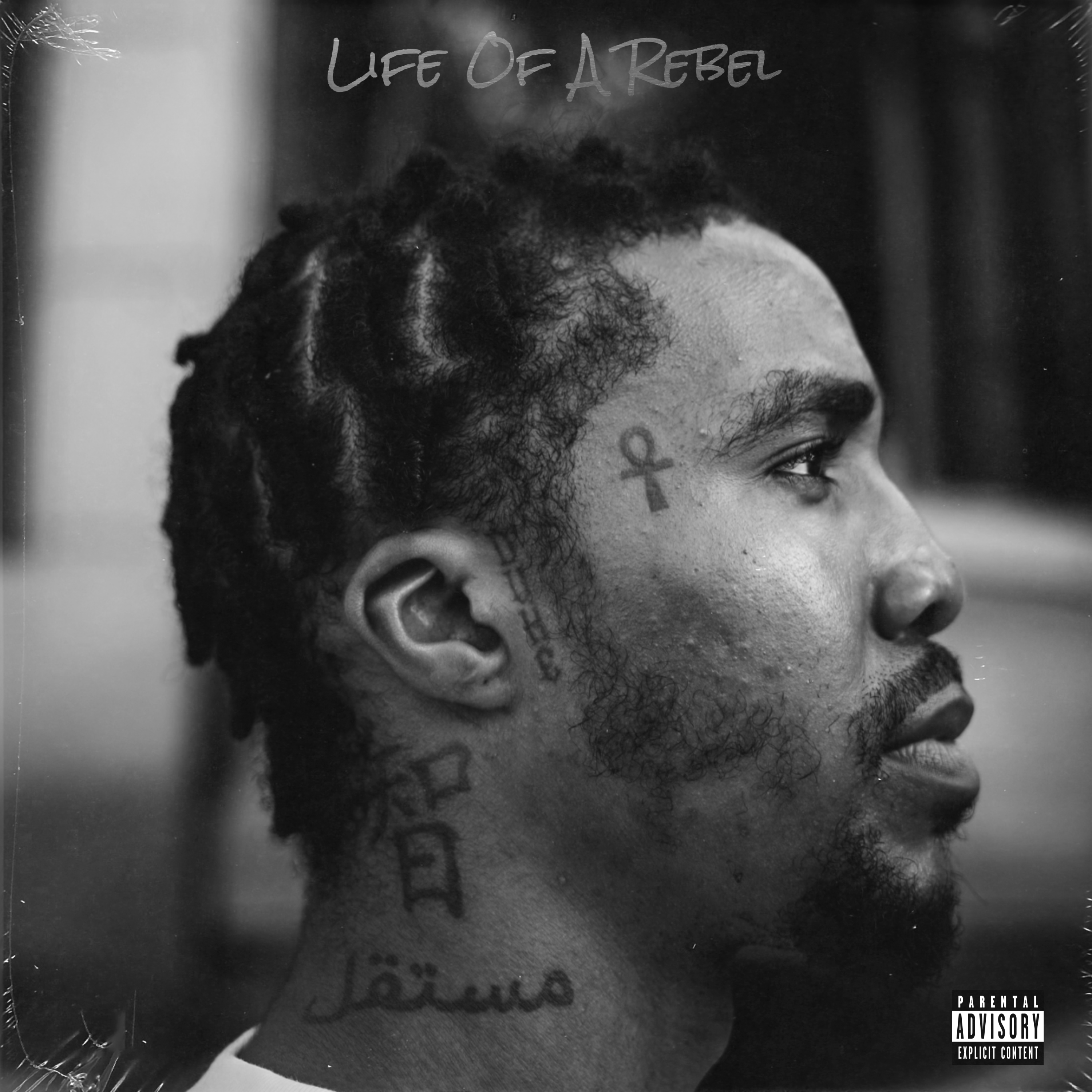 LIFE OF A REBEL artwork