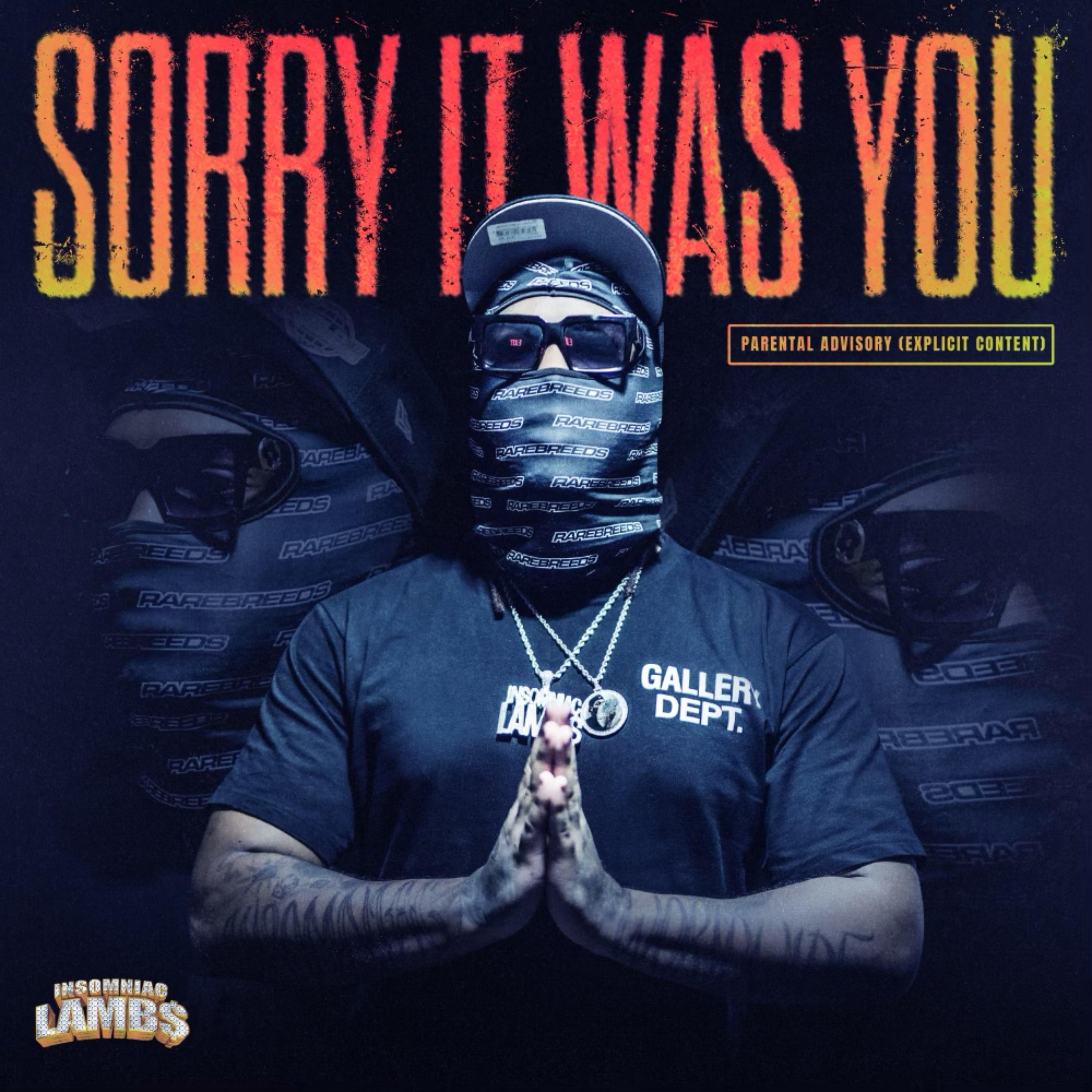Sorry It Was You by LAMB$ cover art