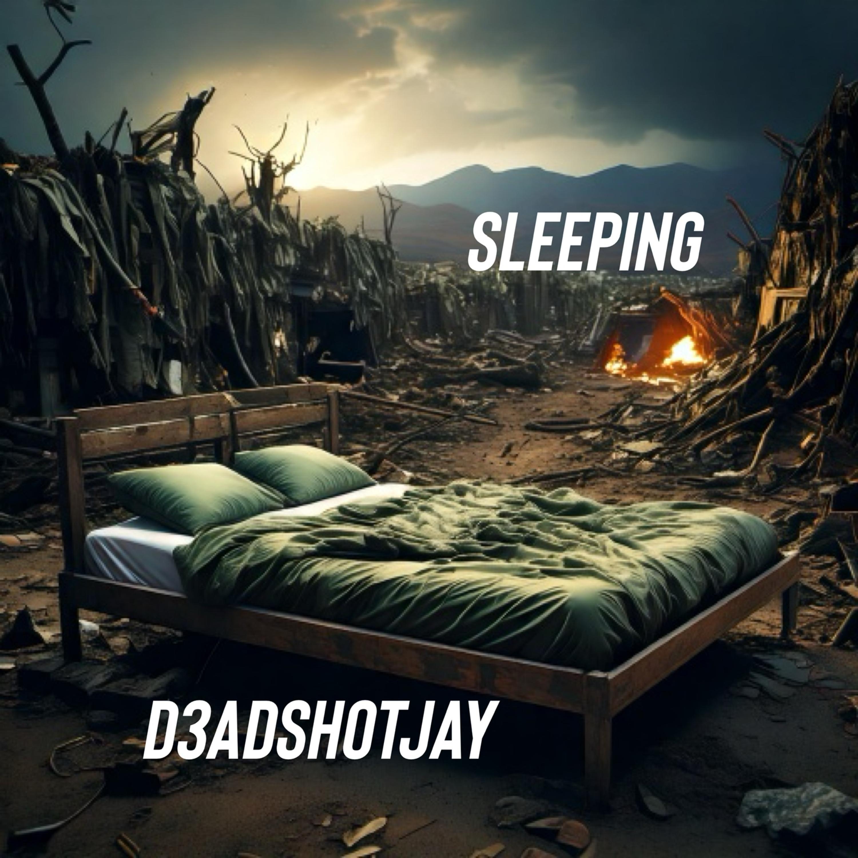 Sleeping artwork