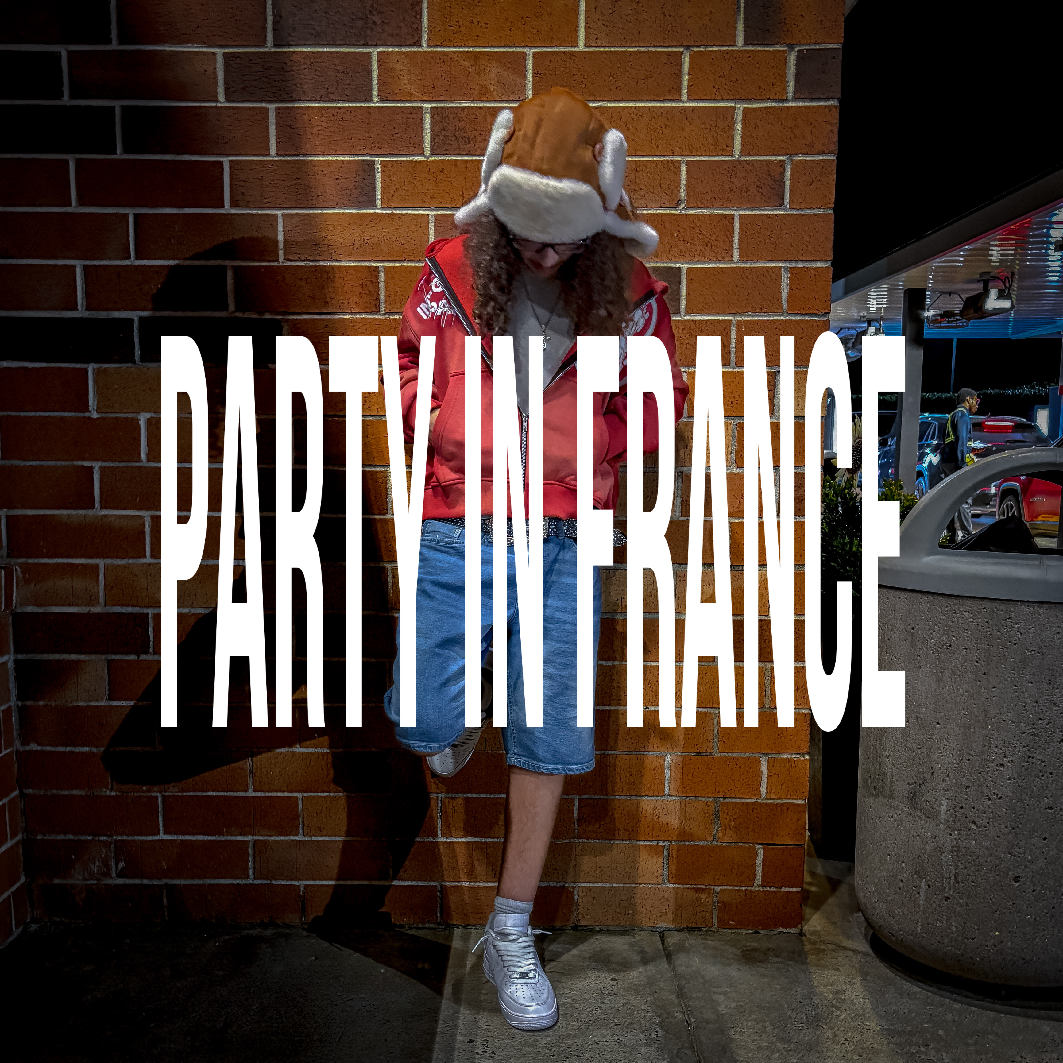 PARTY IN FRANCE artwork