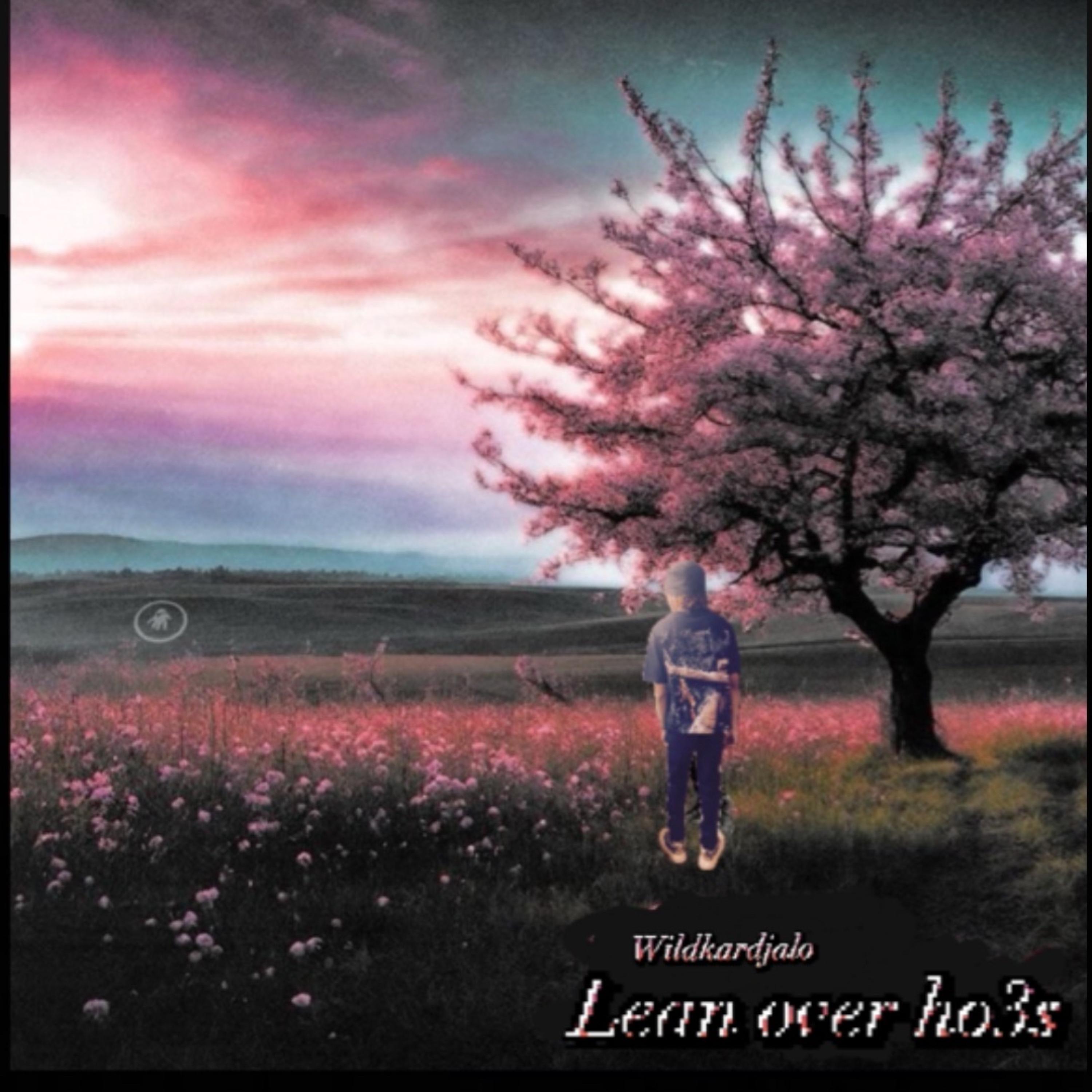 Lean Over Ho3z artwork