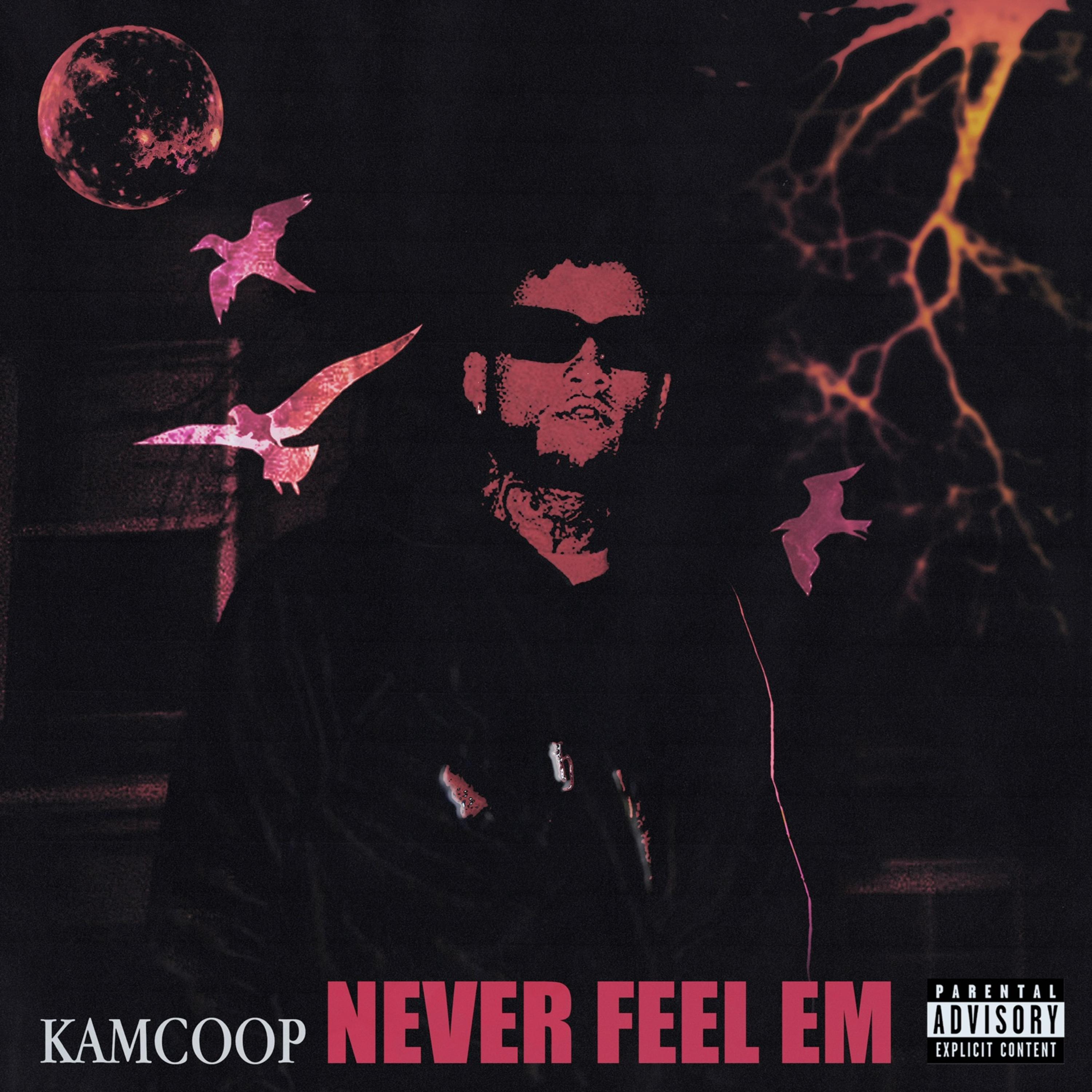Never Feel Em artwork