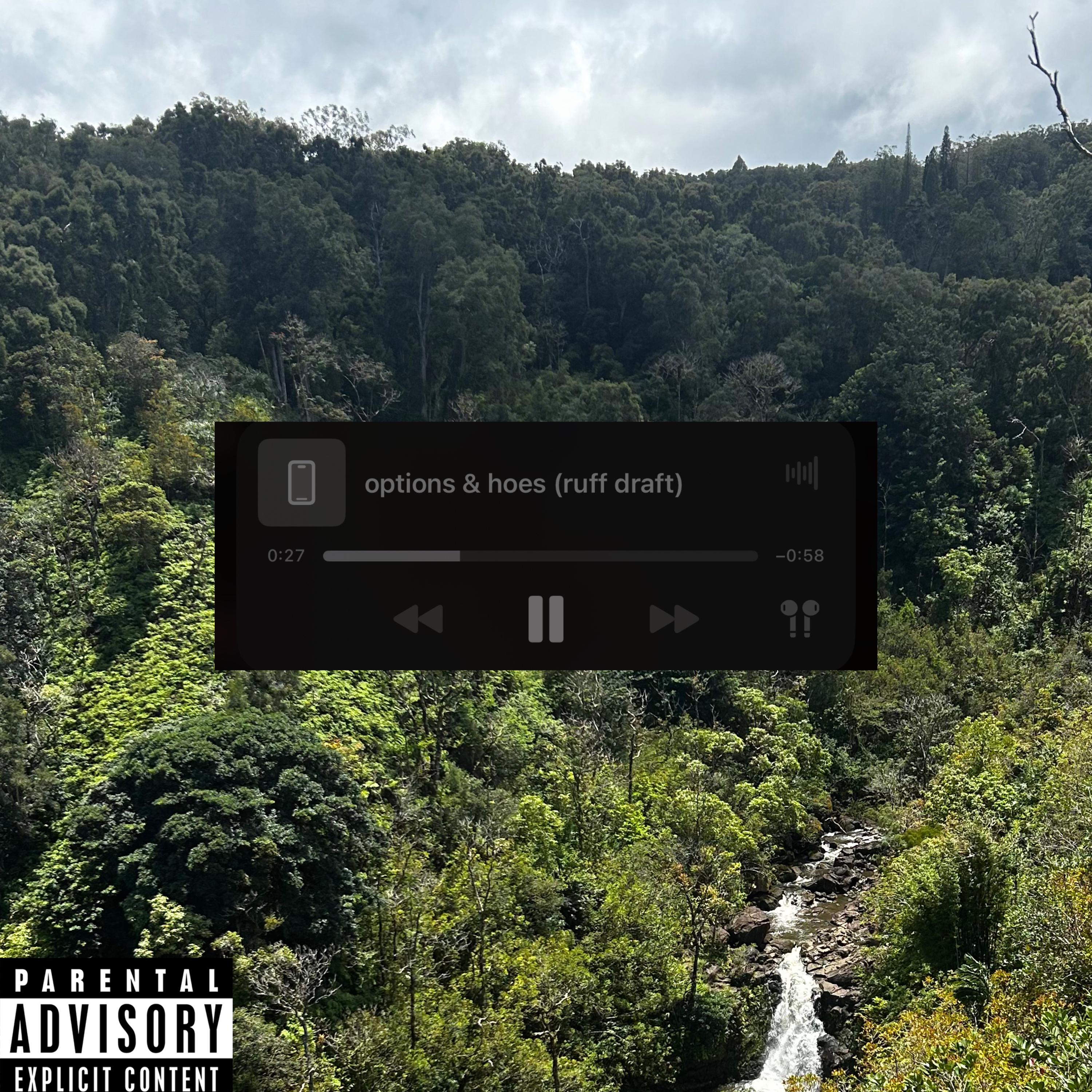 Options & Hoes artwork