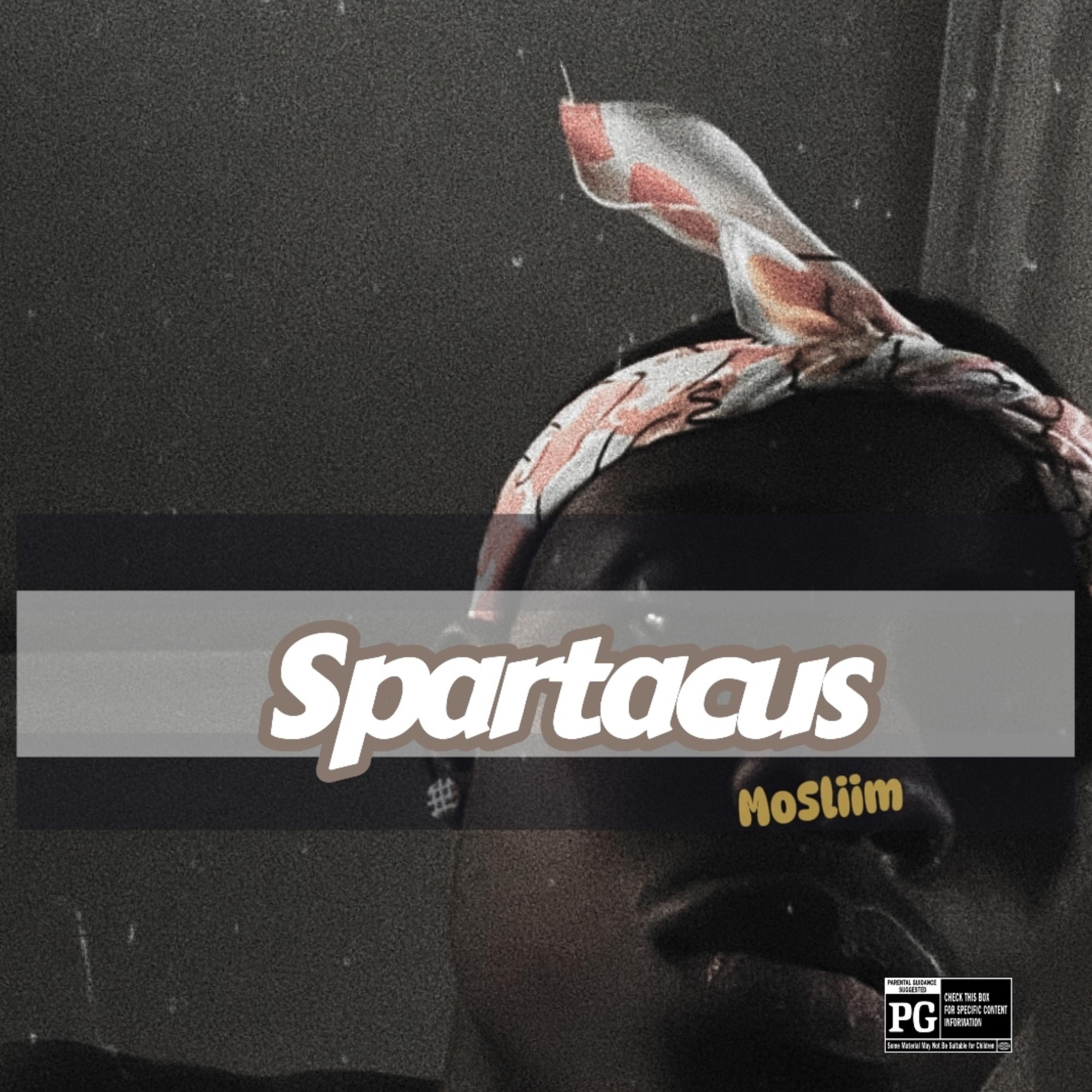 Spartacus artwork