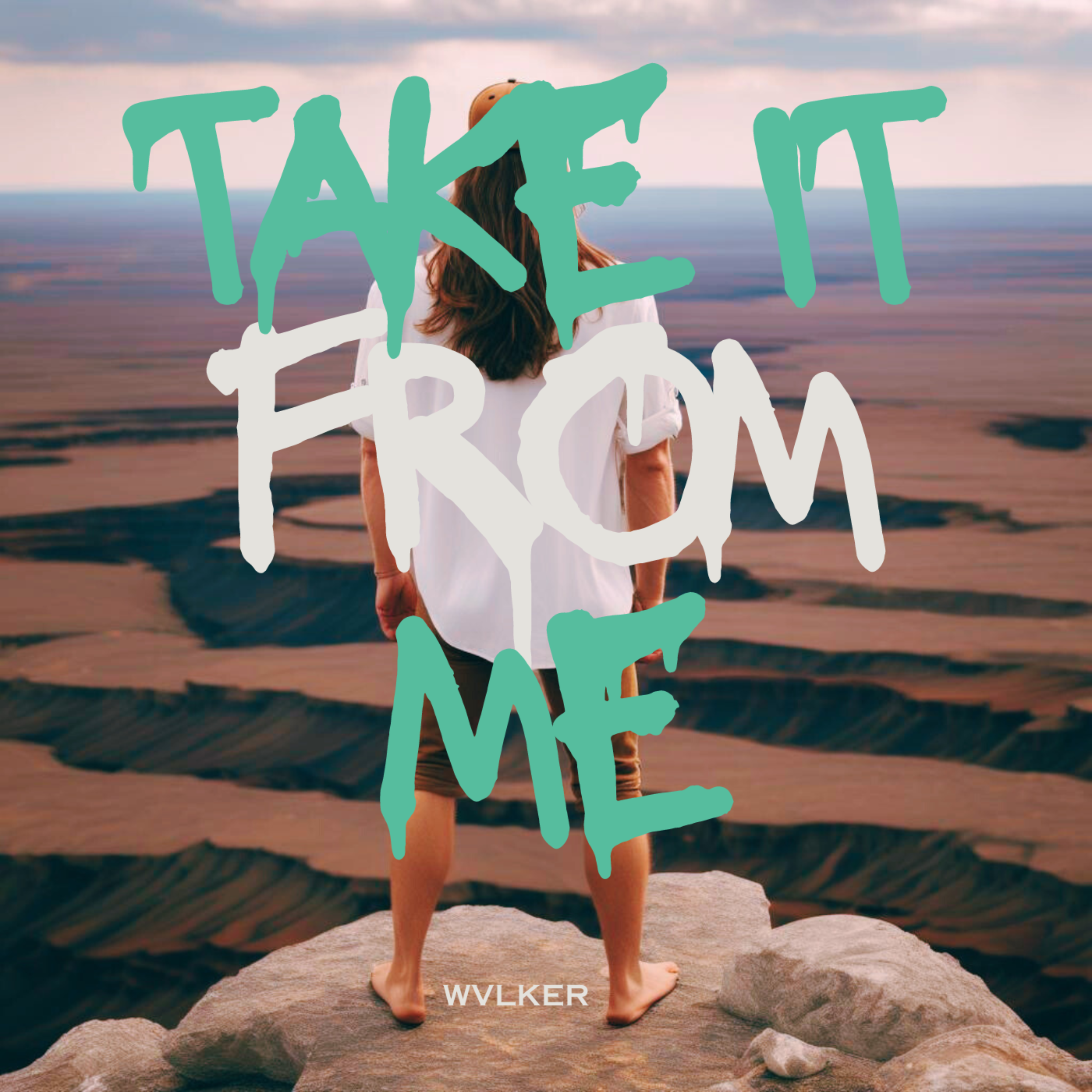 TAKE IT FROM ME artwork