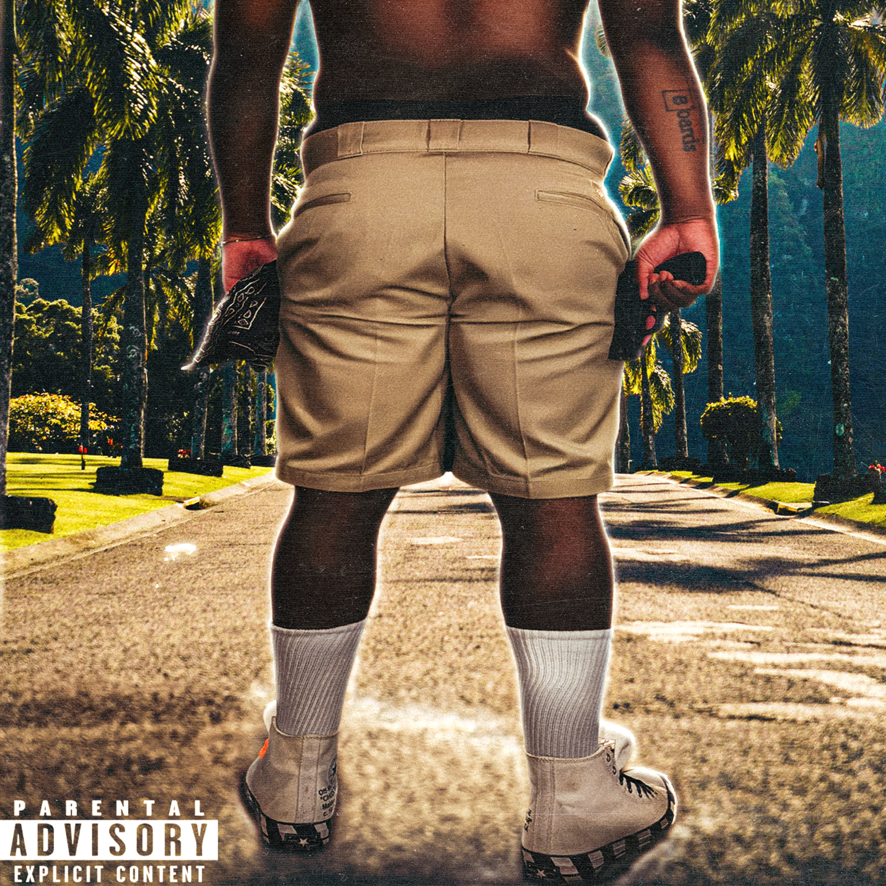 Boys In The Hood by Surp cover art