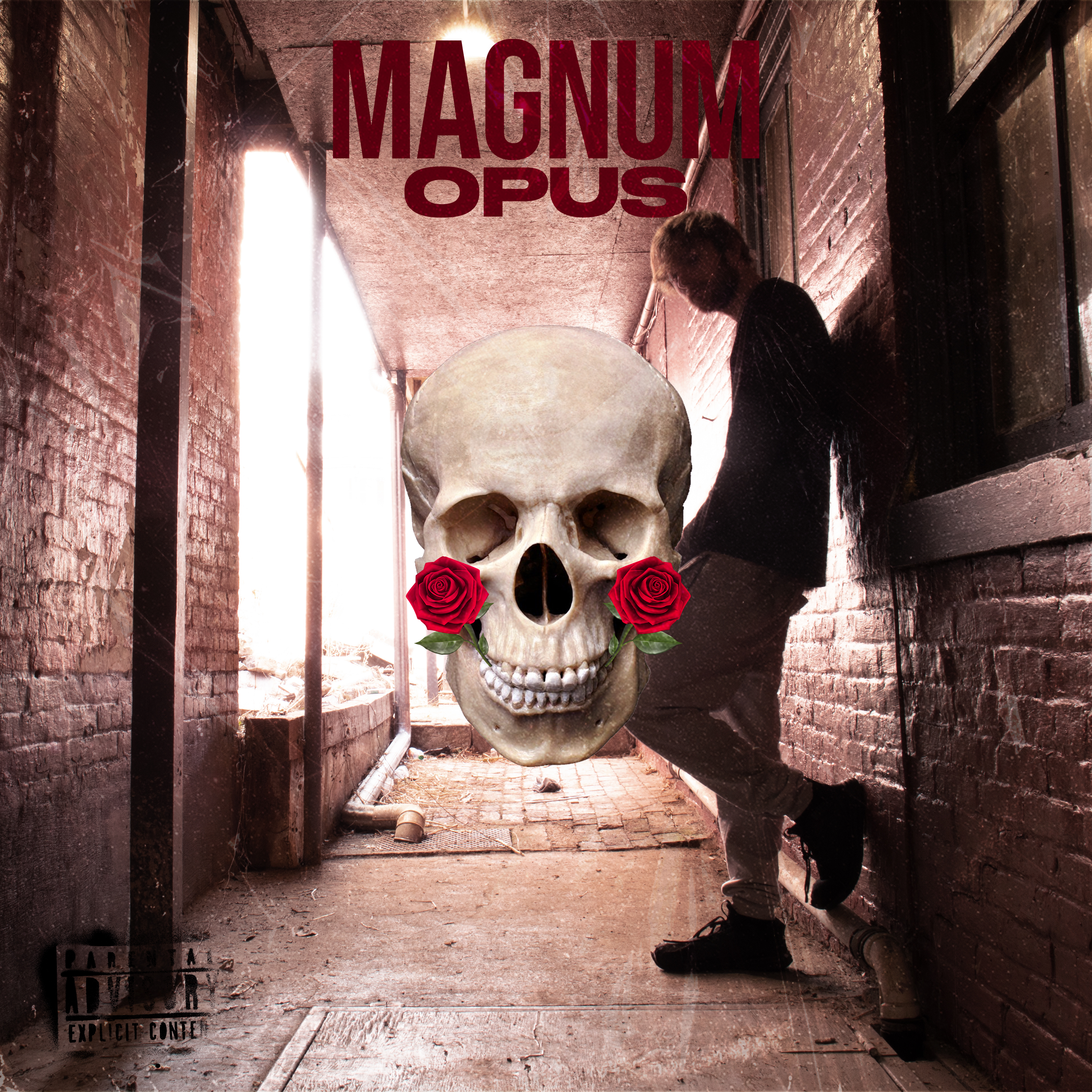 Magnum Opus artwork