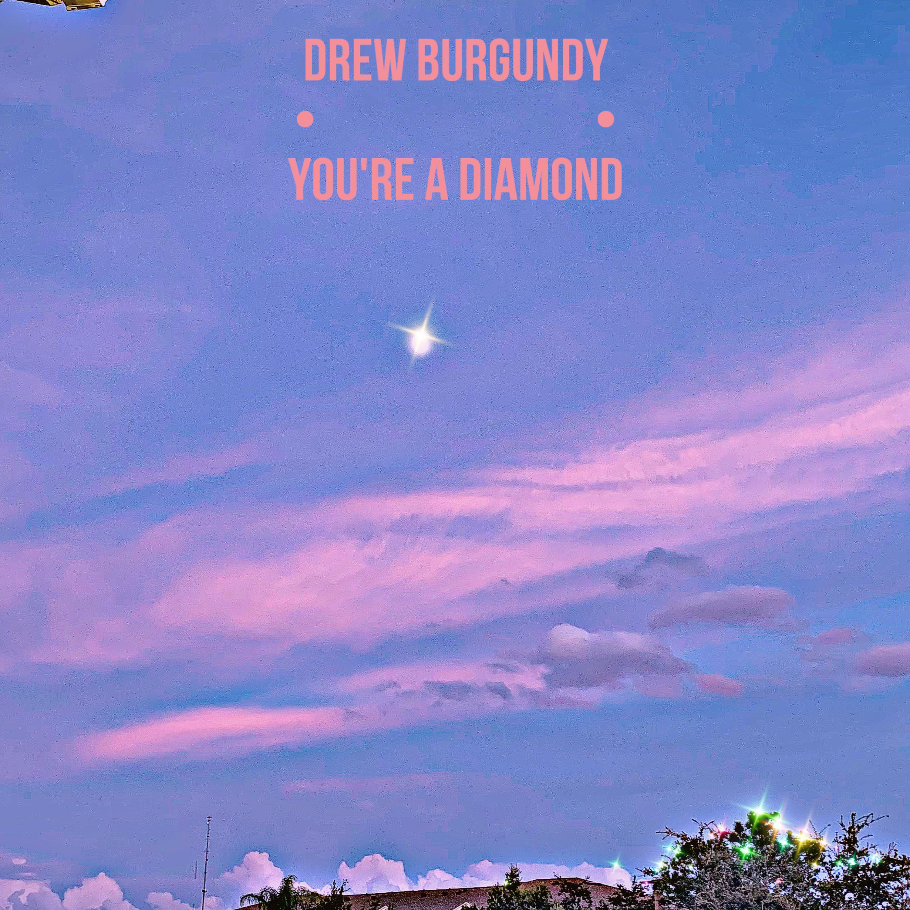 You’re A Diamond by Drew Burgundy cover art