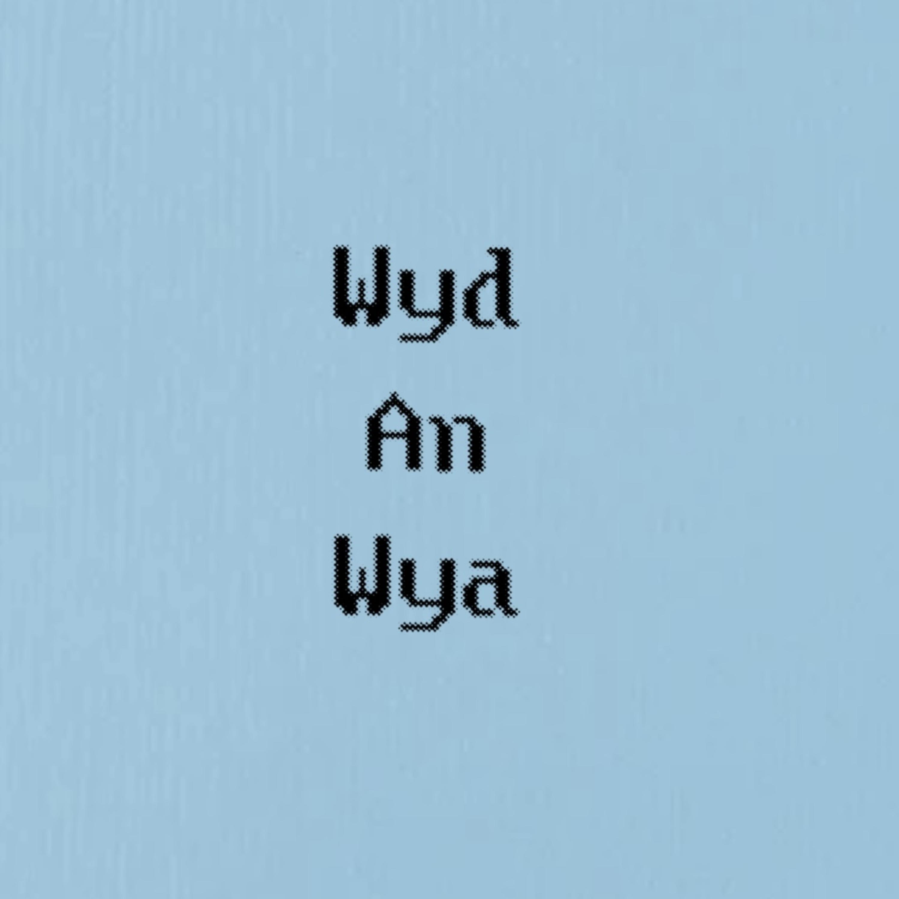 Wyd An Wya artwork