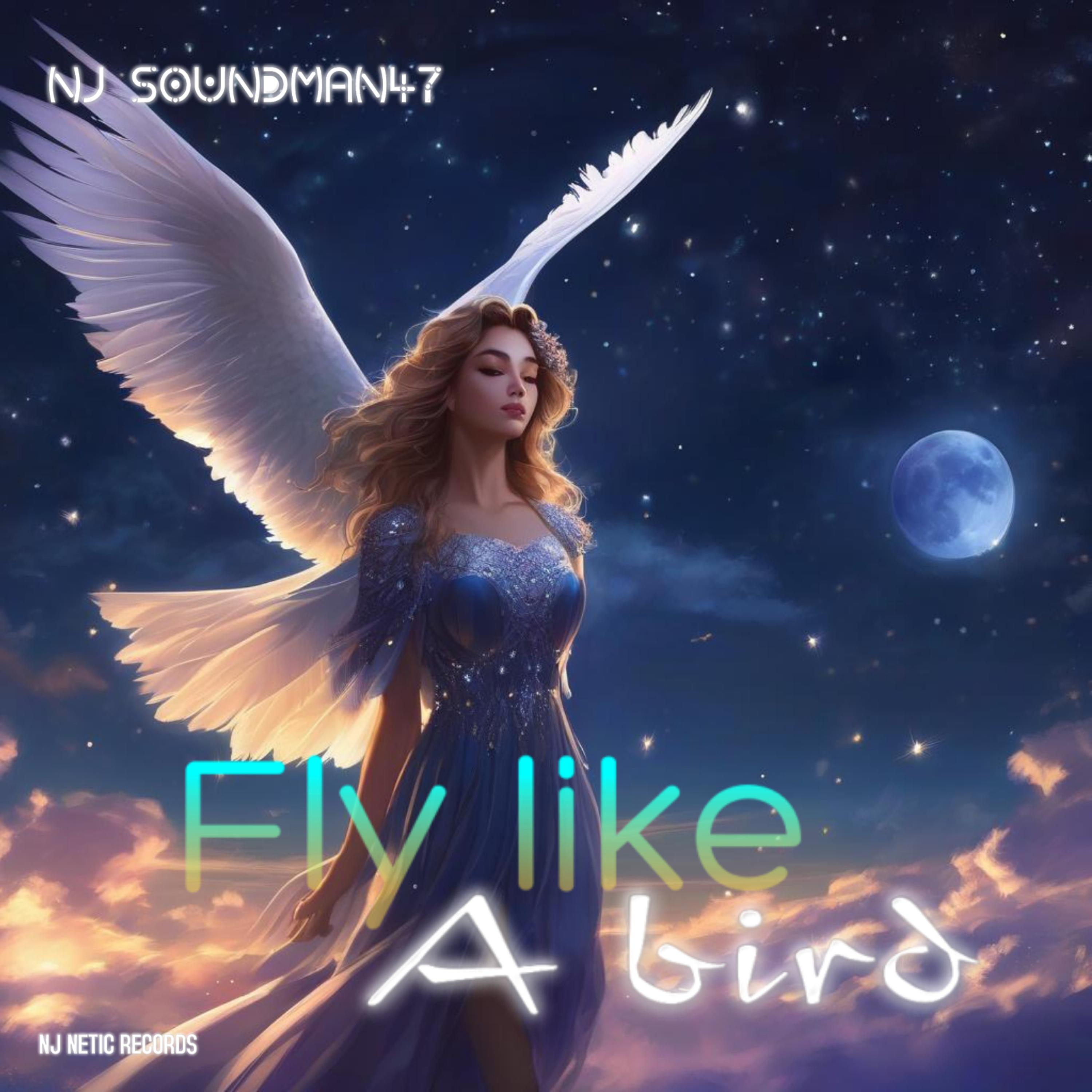 FLY LIKE A BIRD artwork