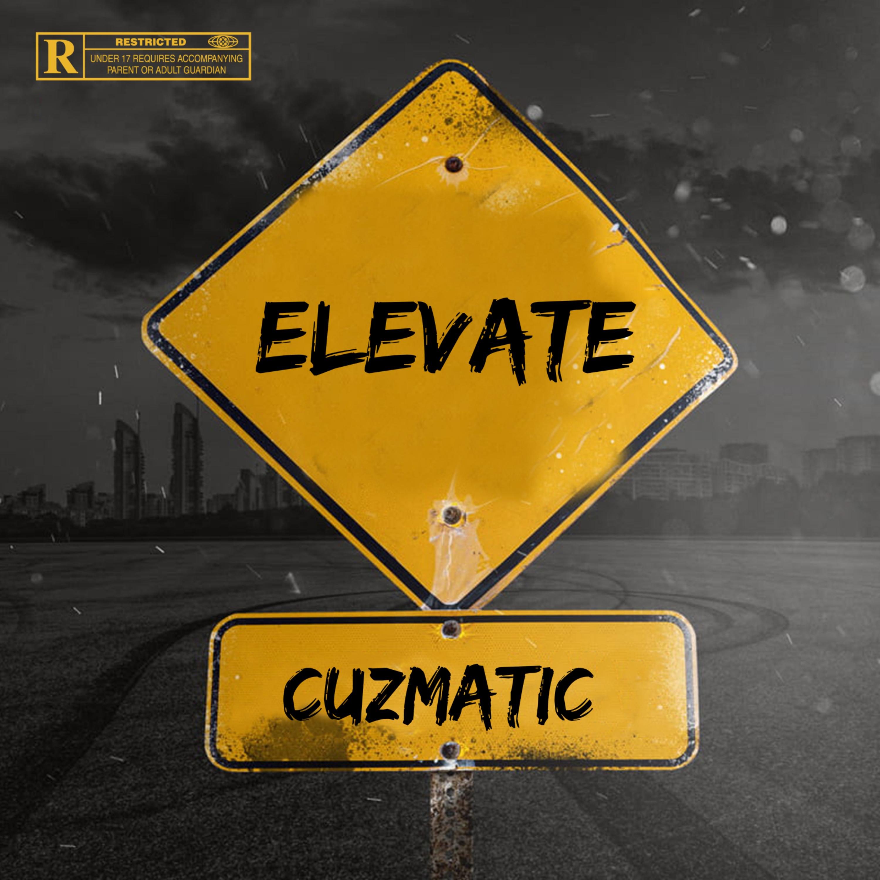 elevate artwork