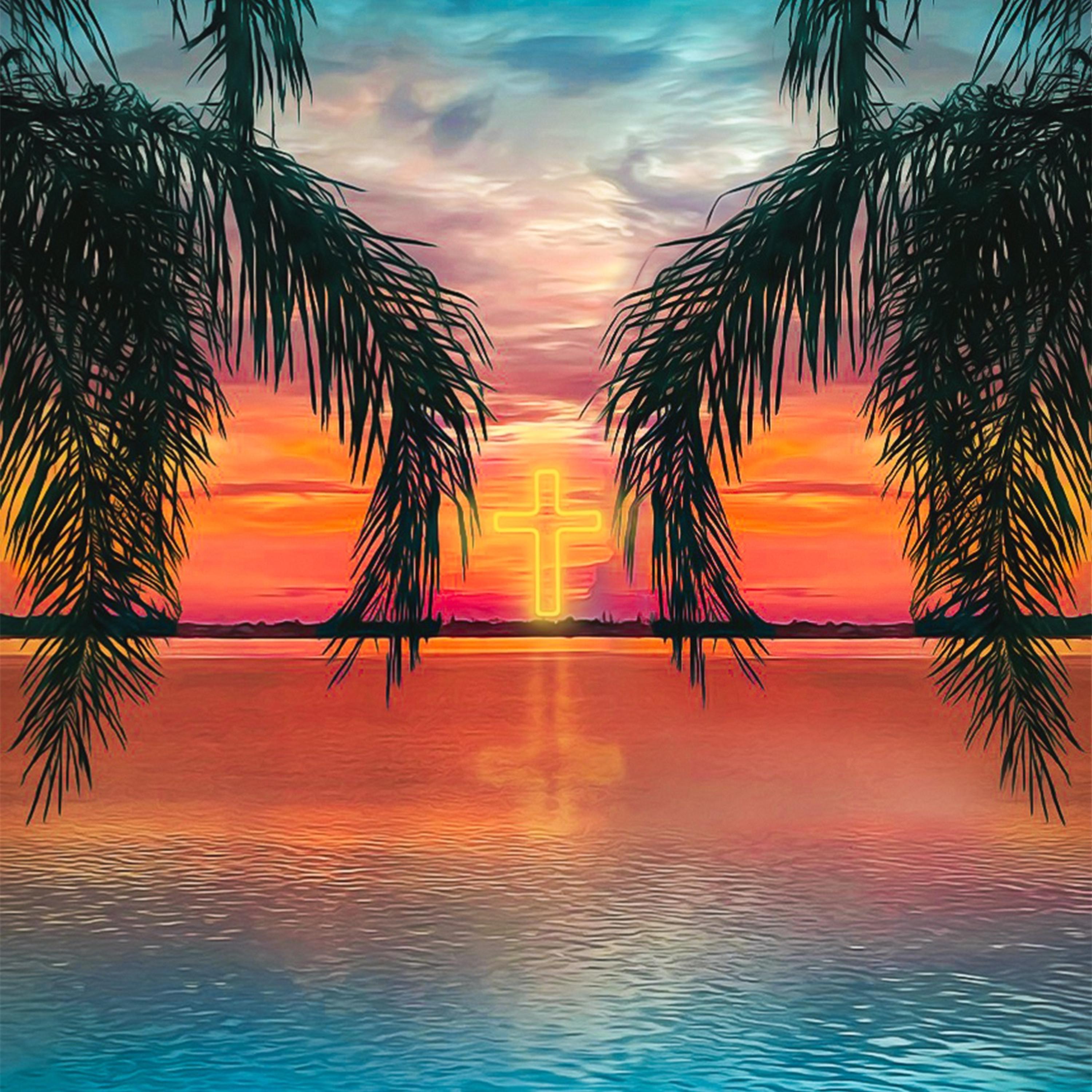 Born Cancelled artwork