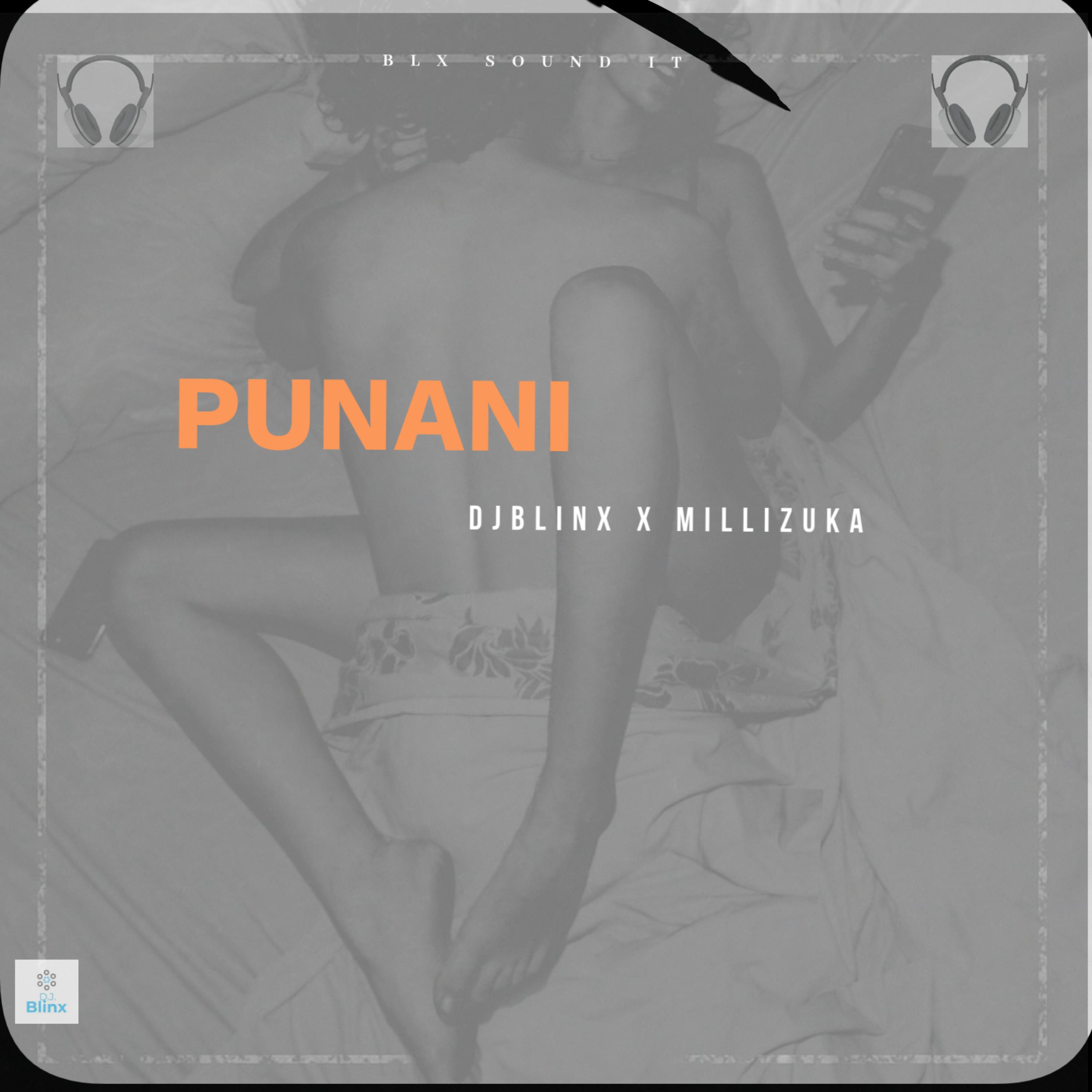 PUNANI artwork