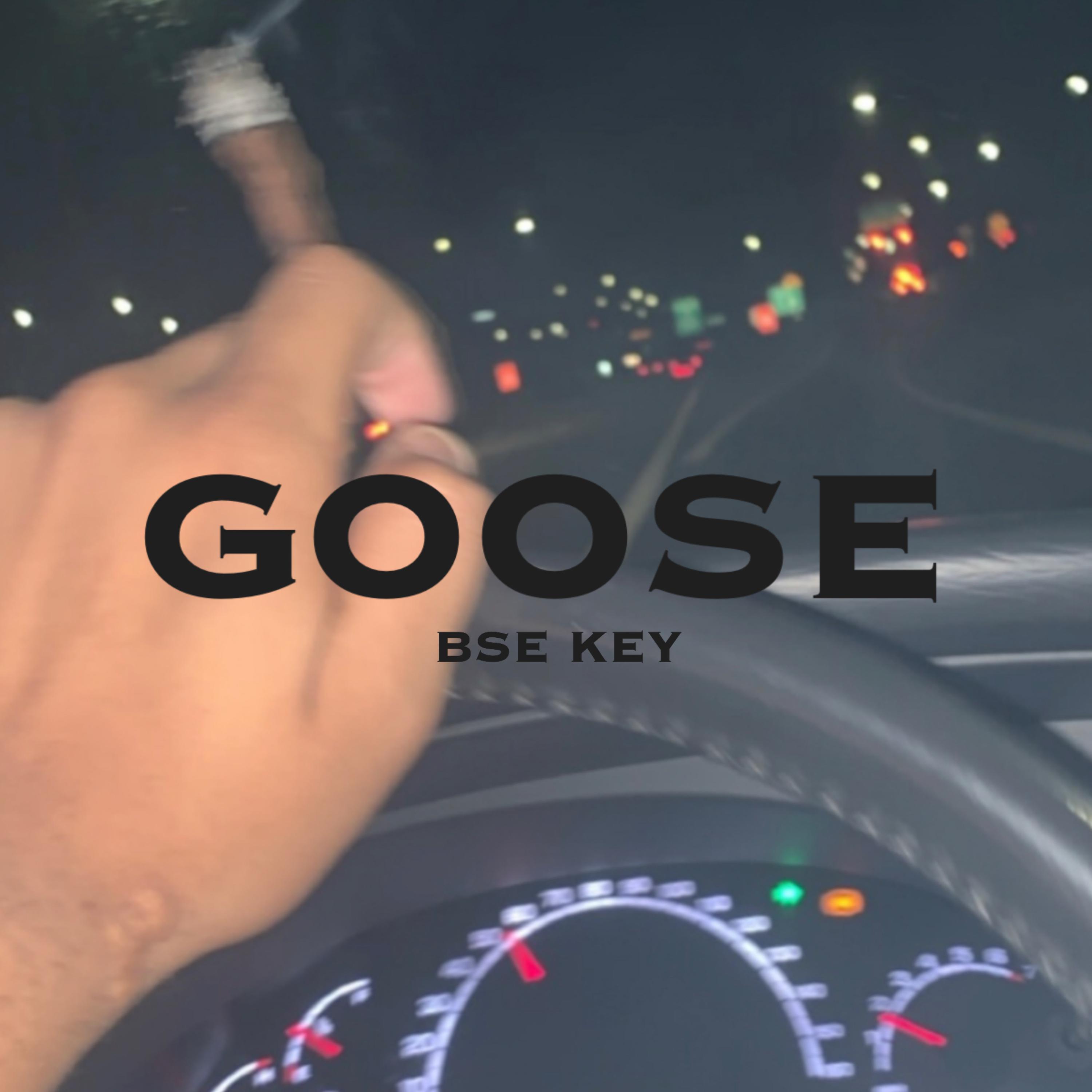 Goose artwork