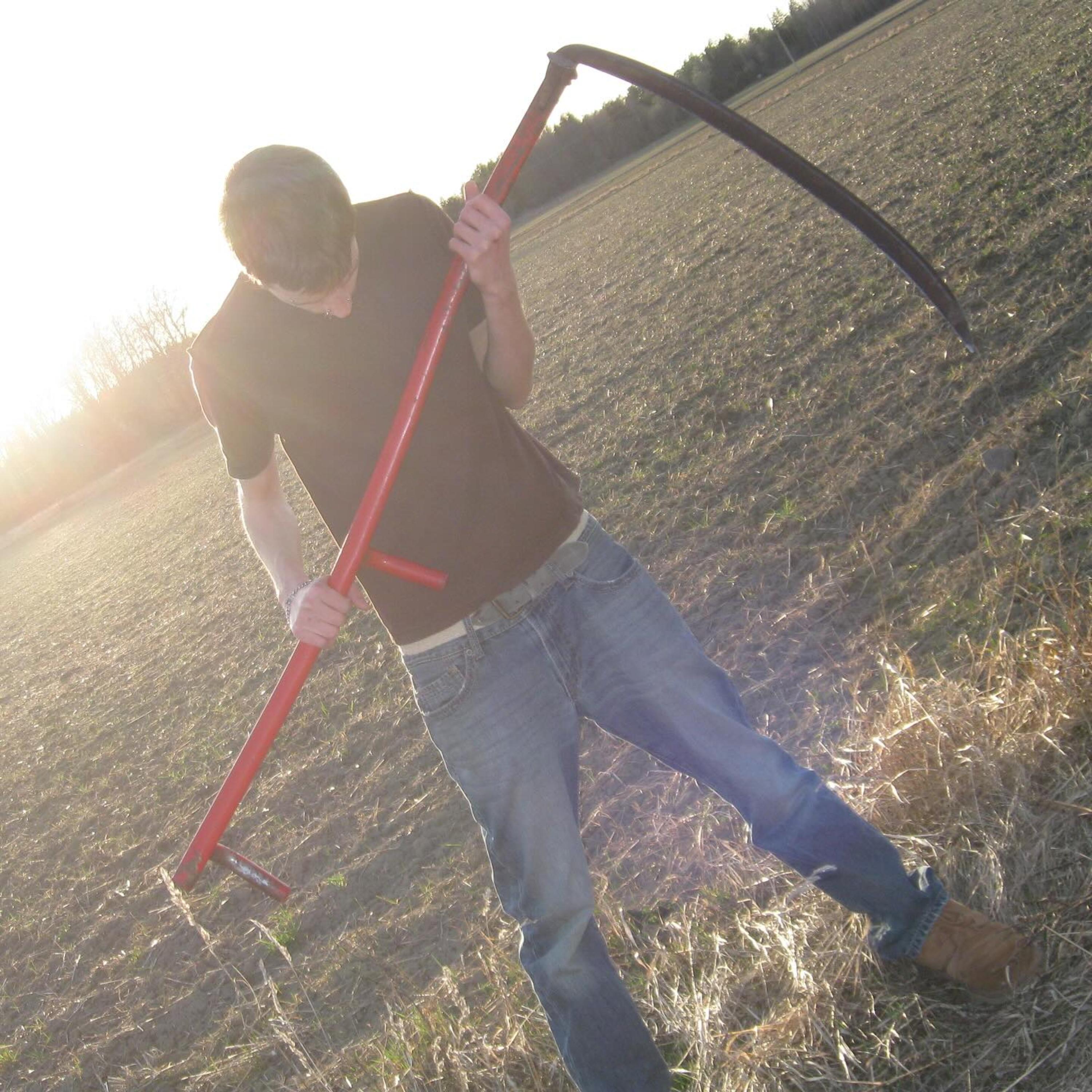 tappat mina vingar jag tog nya ifrån gåsen artwork