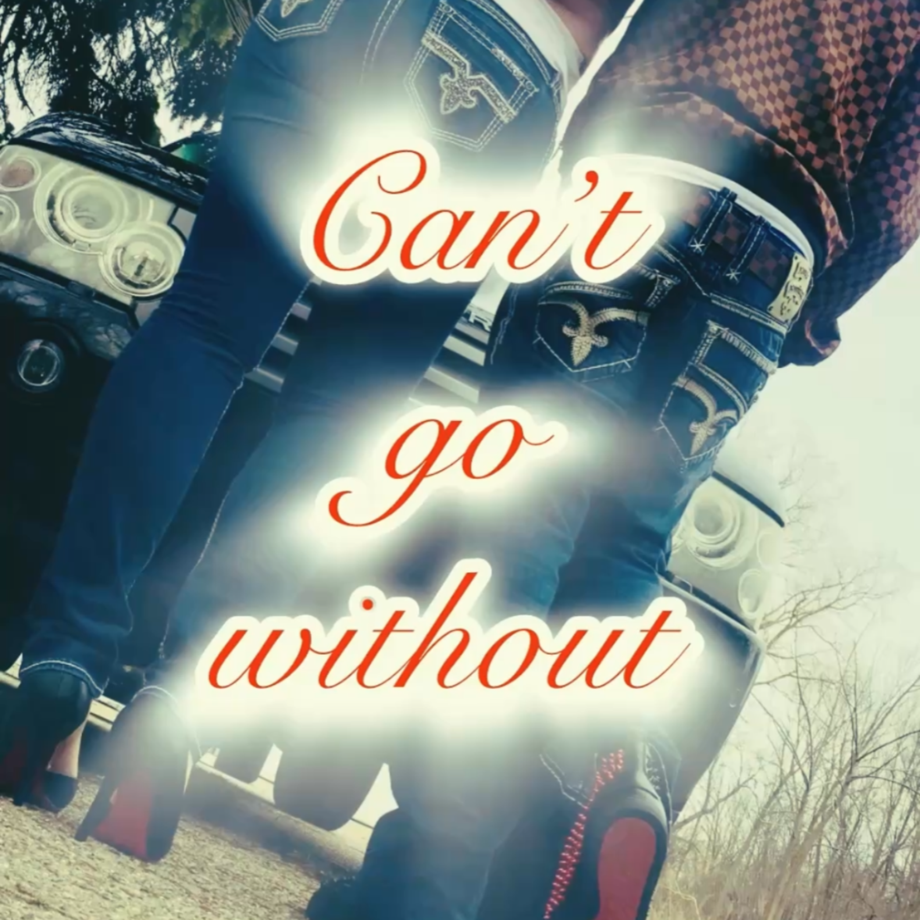 Can’t Go Without artwork