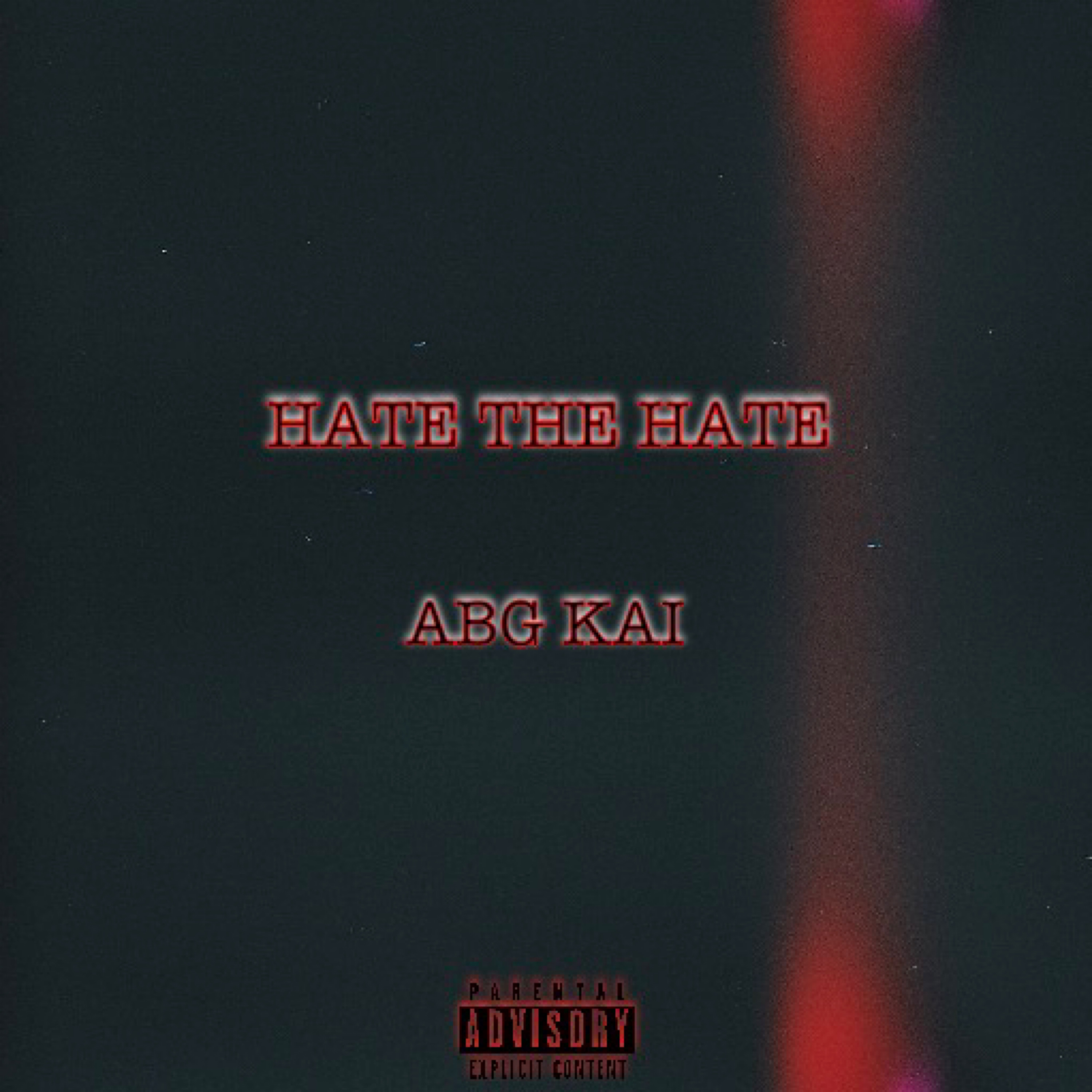 Hate The Hate artwork