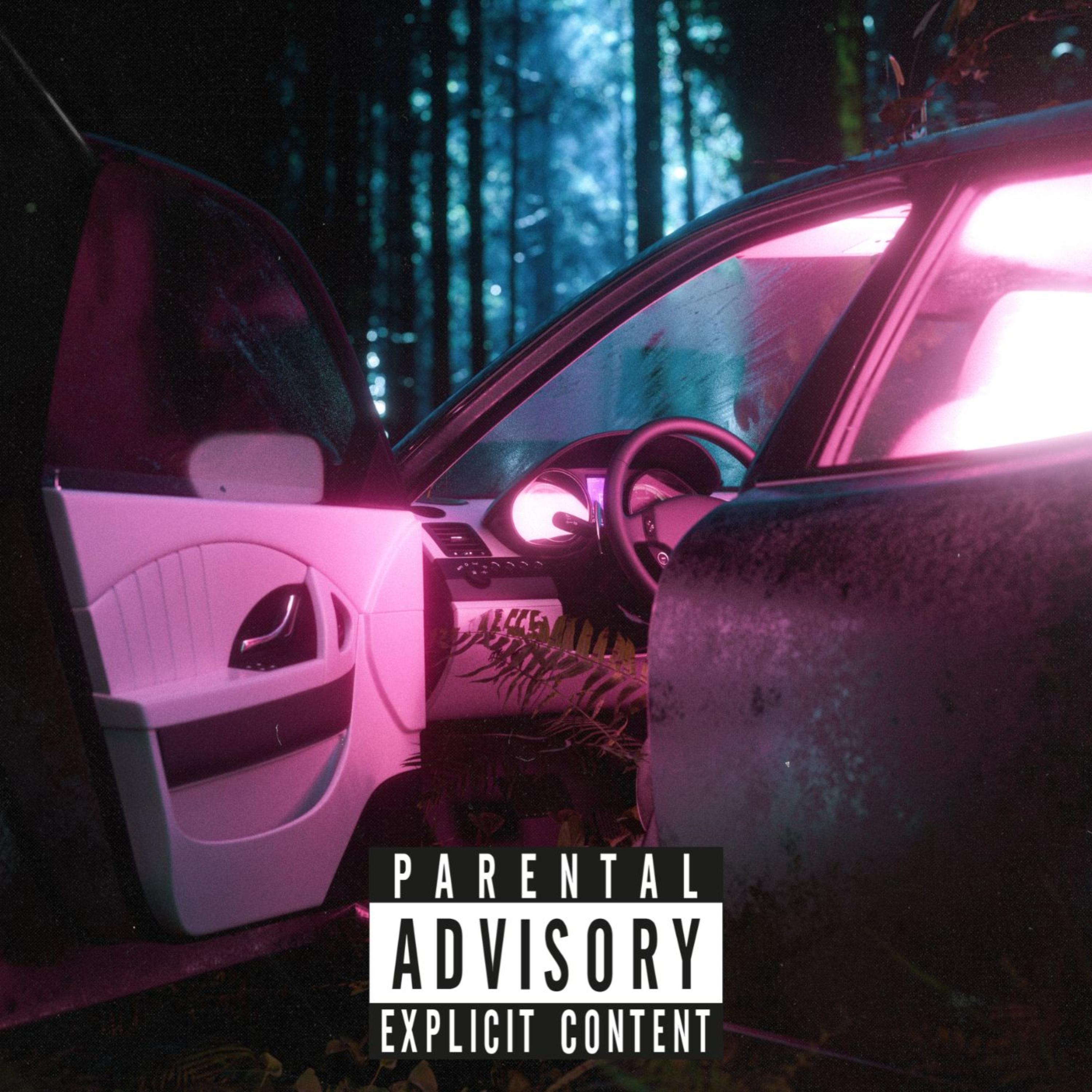 First Whip artwork
