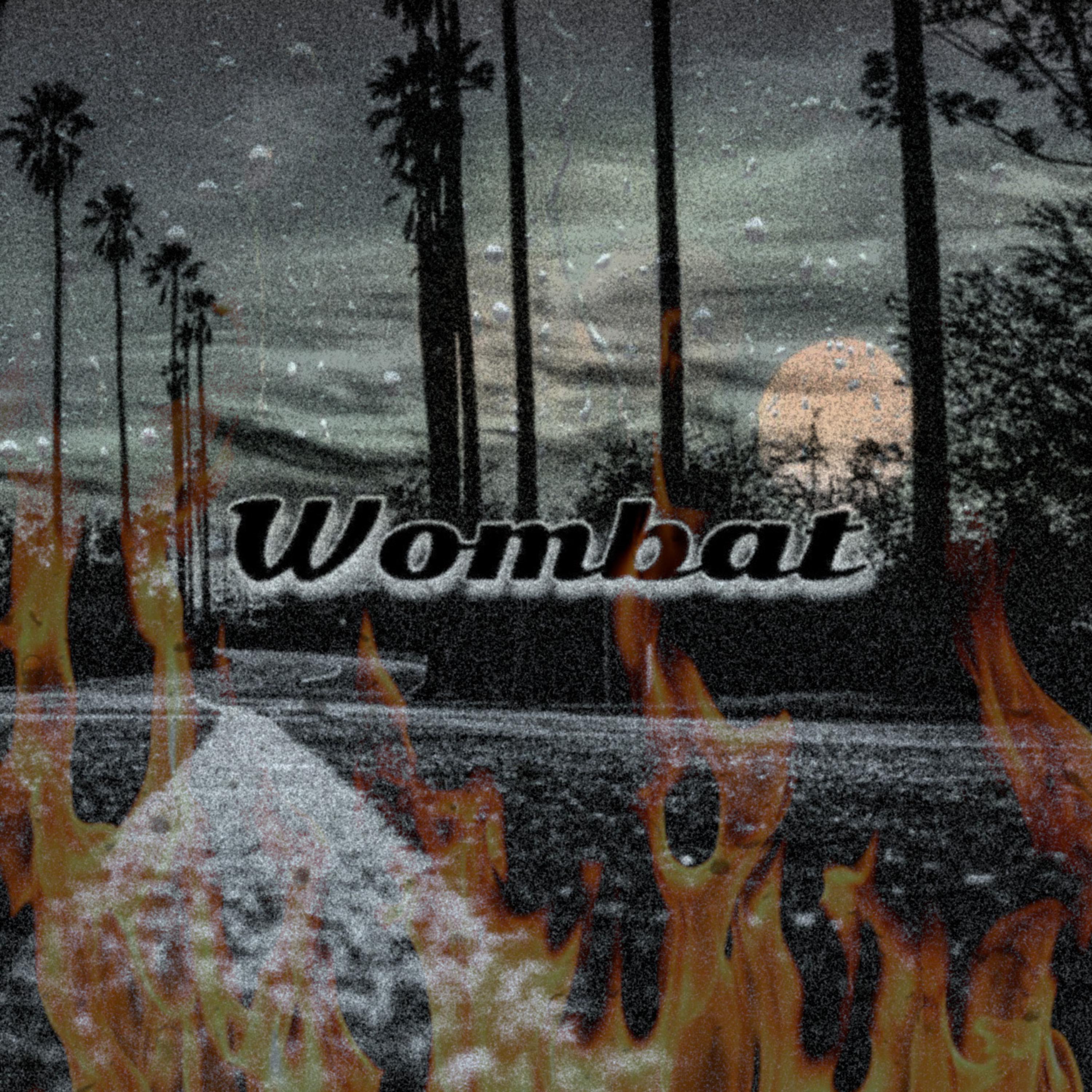 Wombat artwork