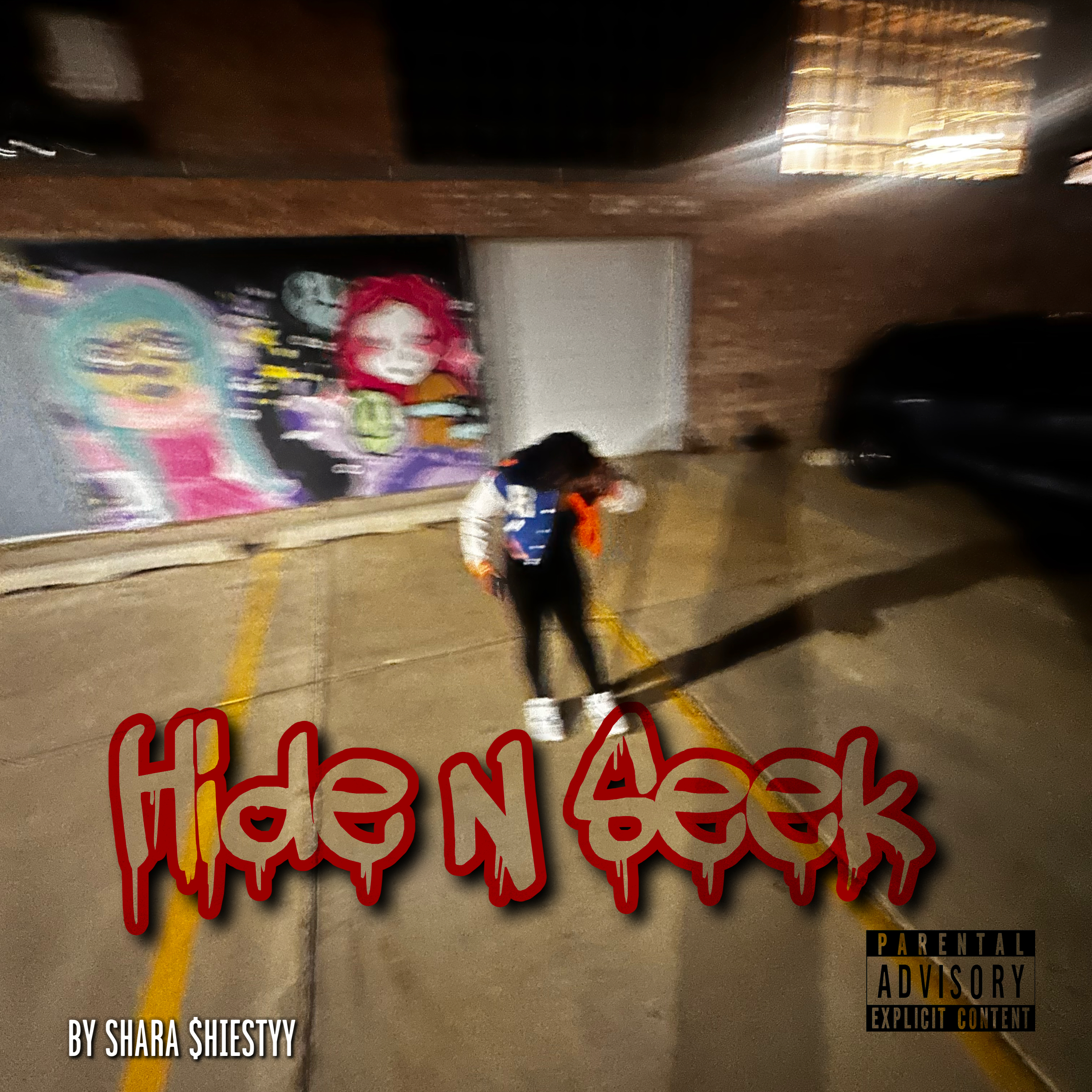 Hide N Seek artwork