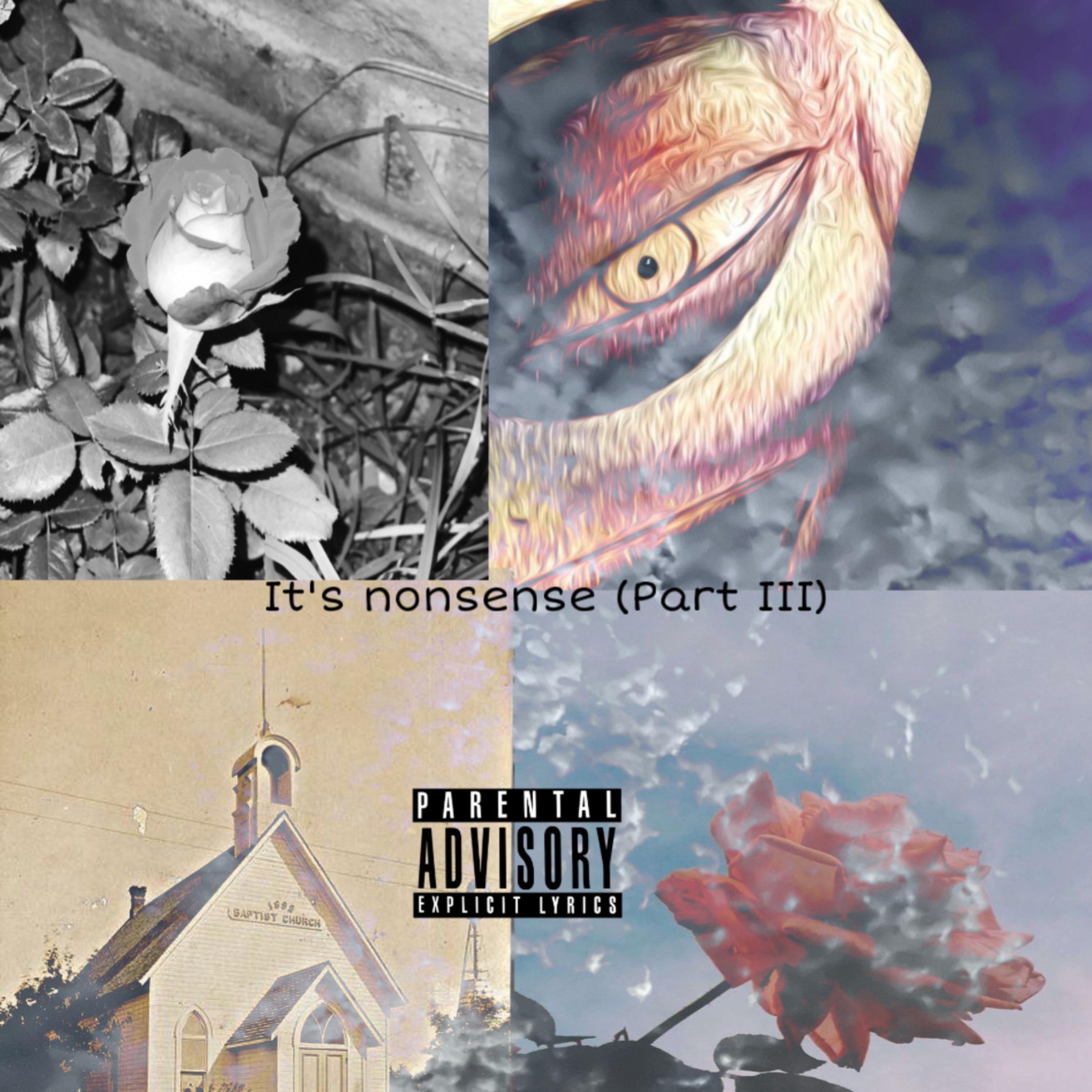 Its Nonsense (part III) artwork