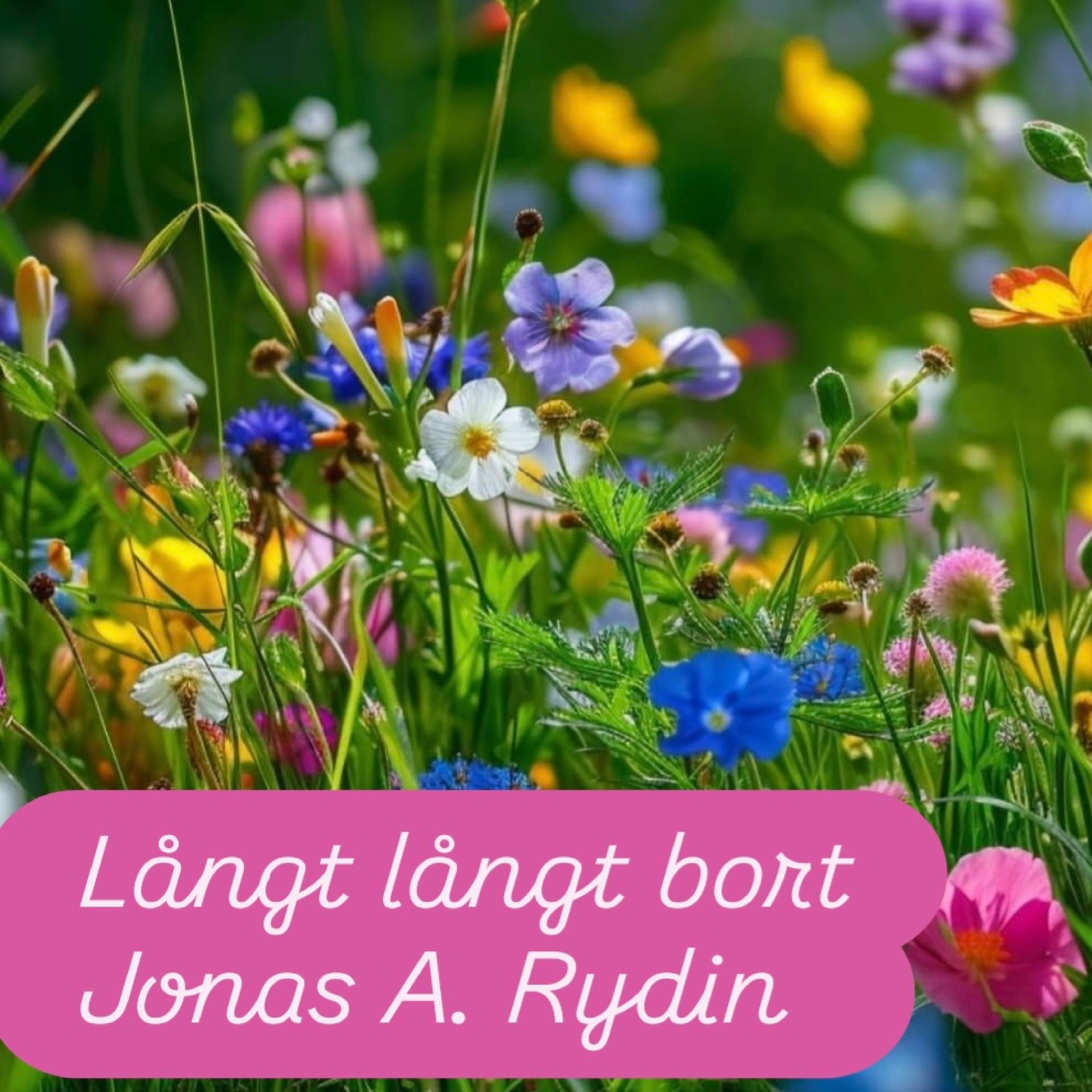 Långt Långt Bort by Jonas A. Rydin  cover art