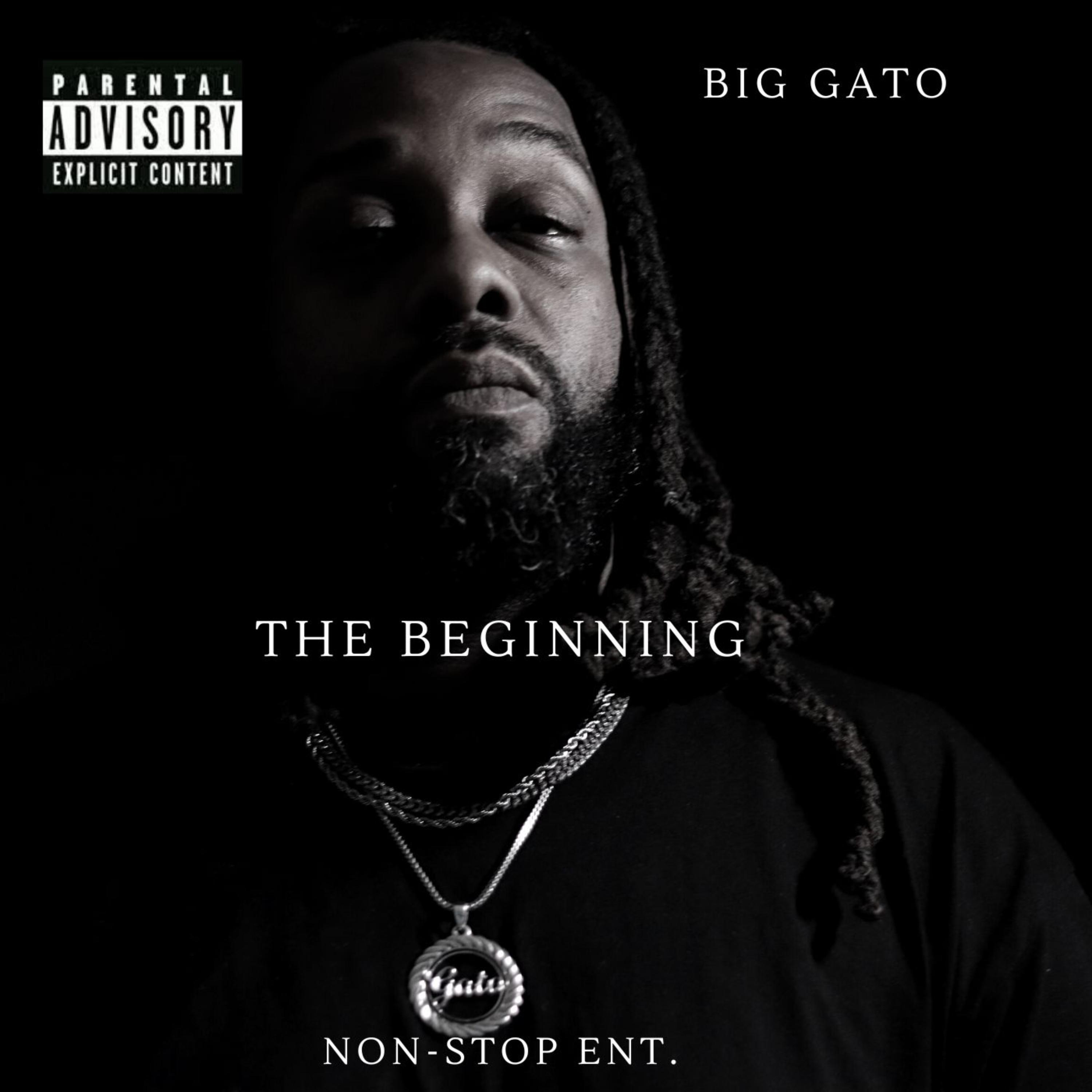 The Beginning artwork