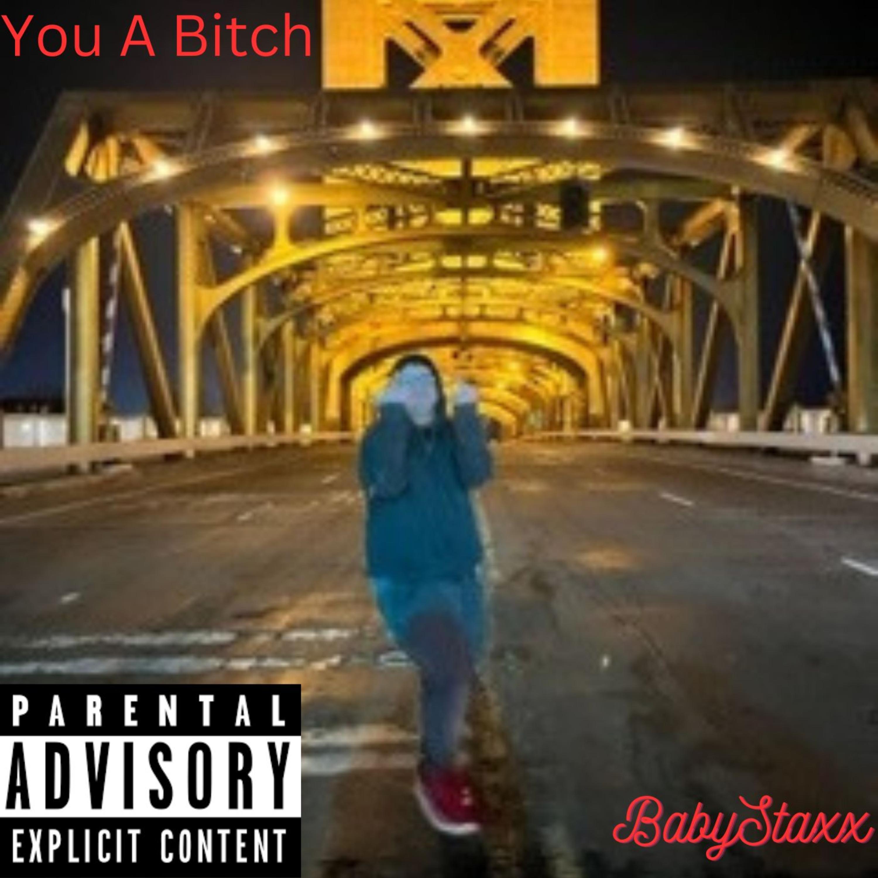 You A Bitch artwork