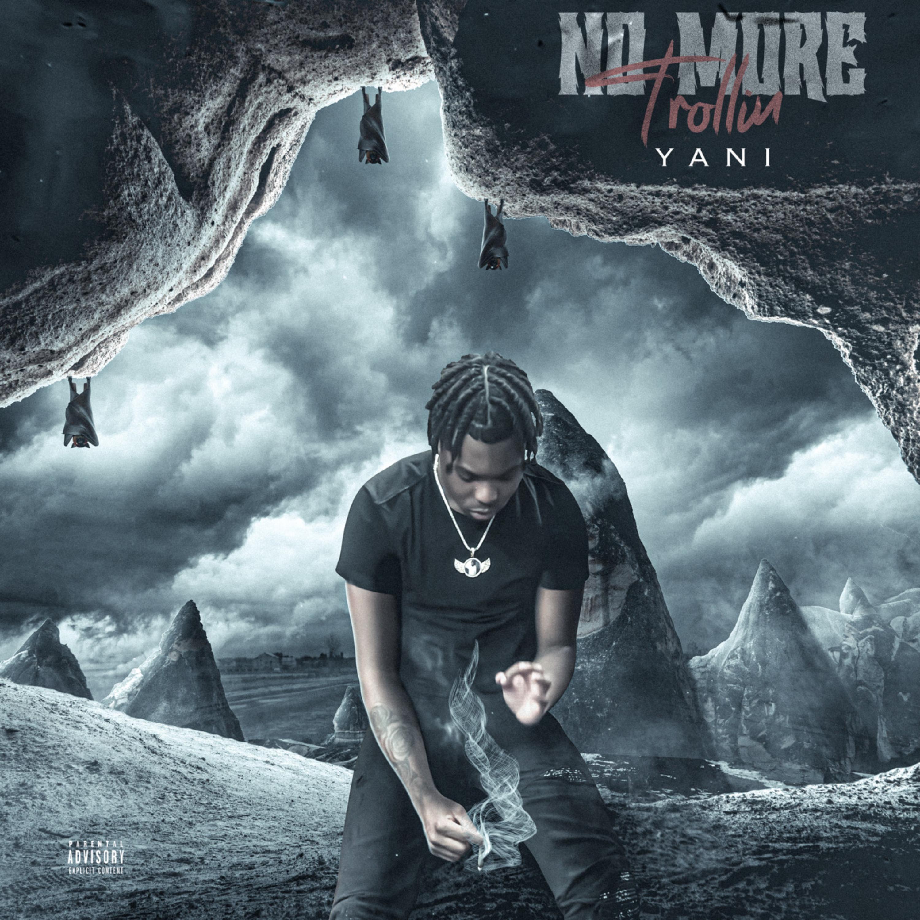 No More Trollin artwork