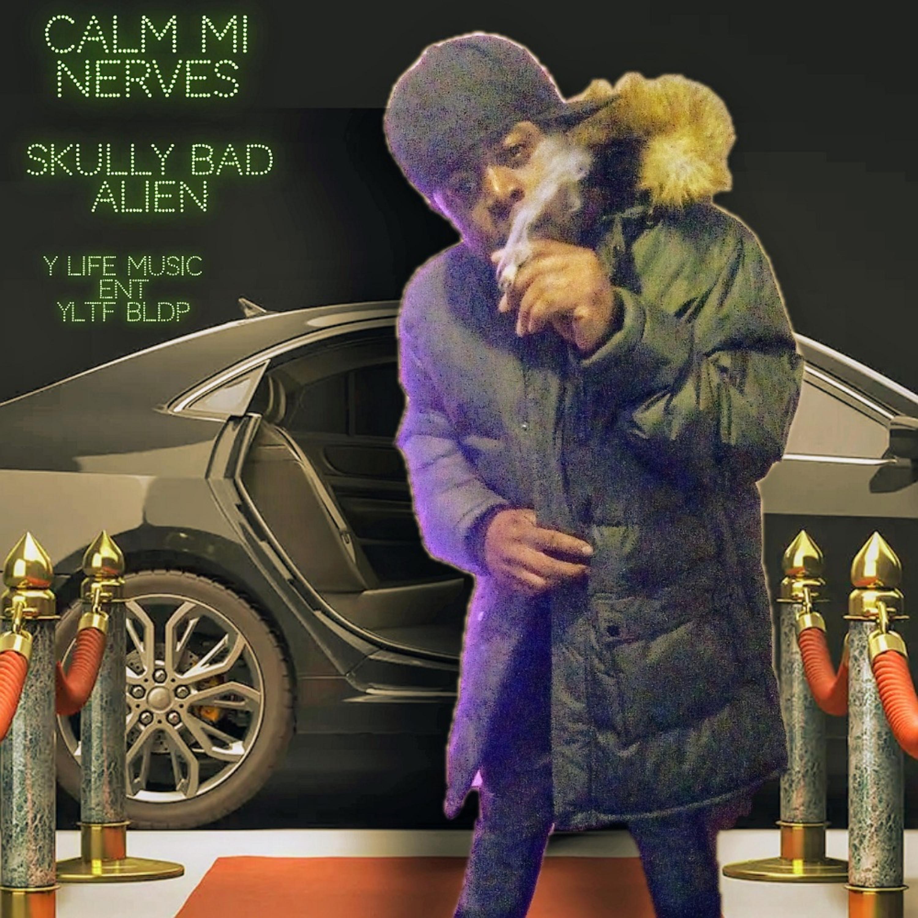 calm mi nerves artwork