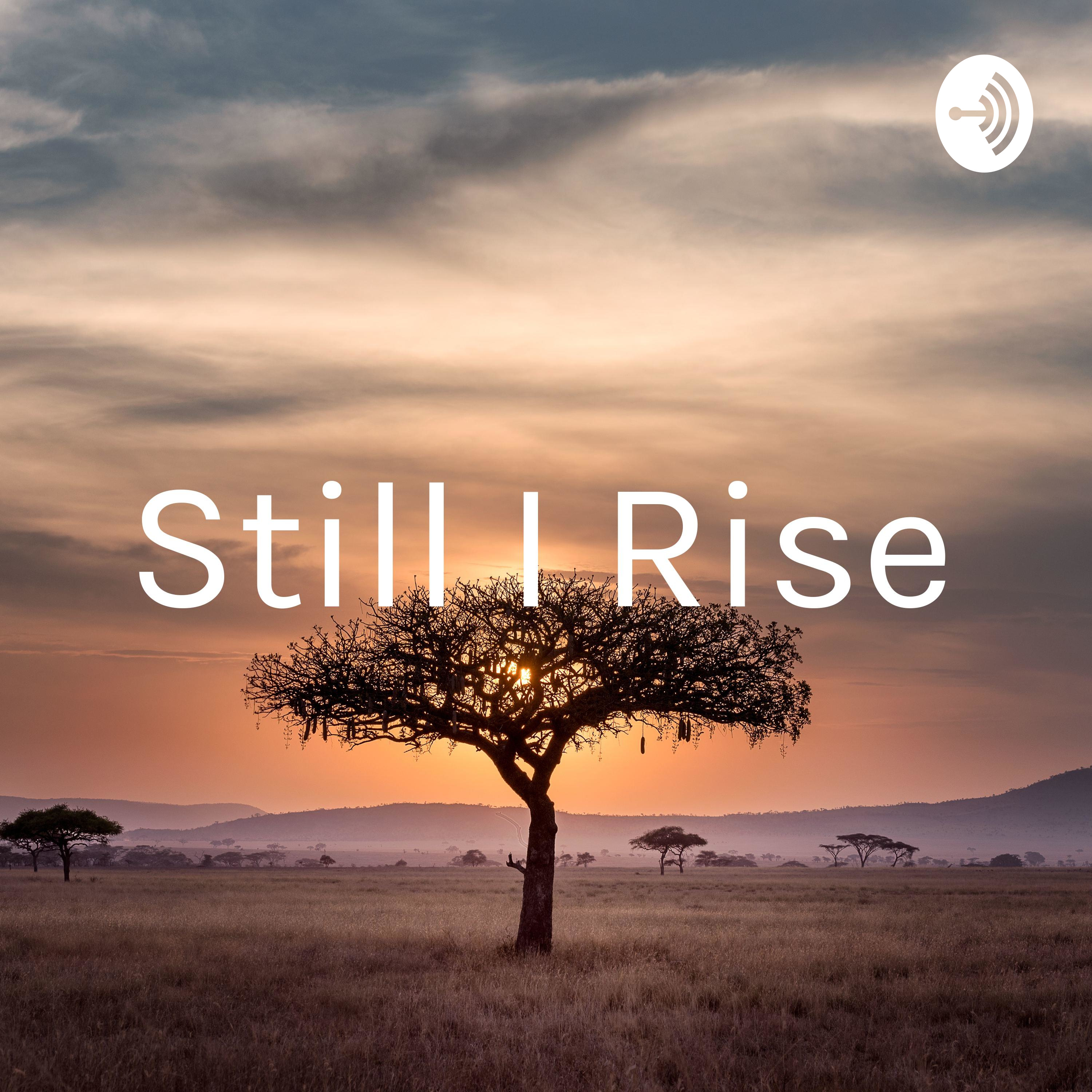 Still i Rise artwork