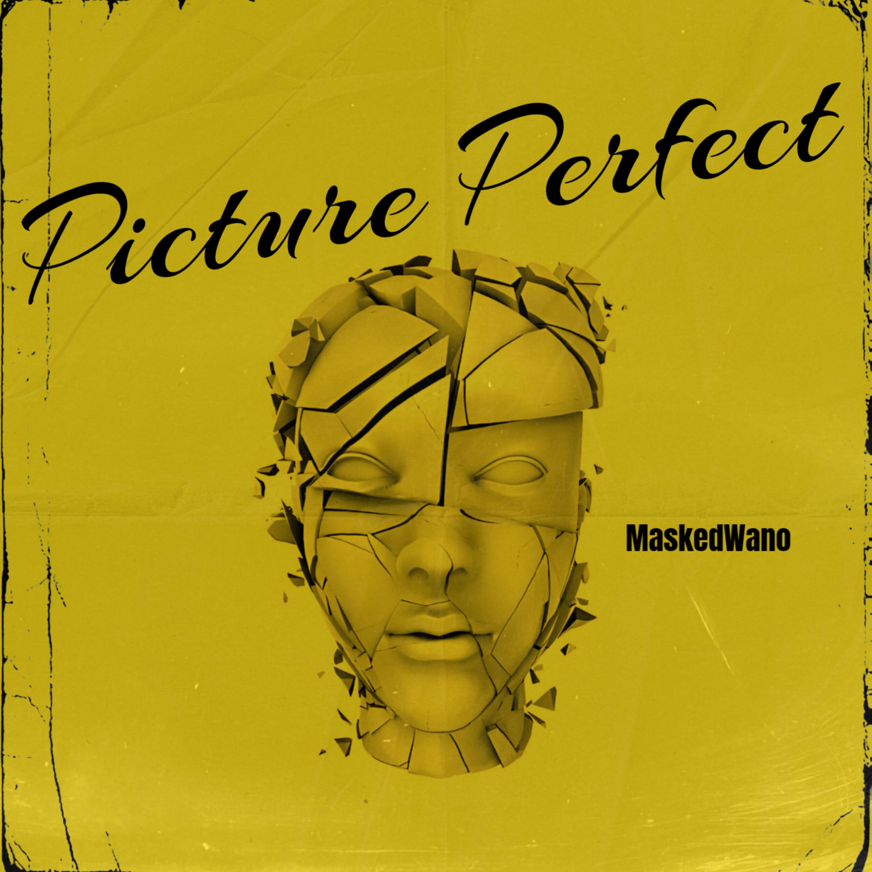 Picture Perfect by MaskedWano cover art