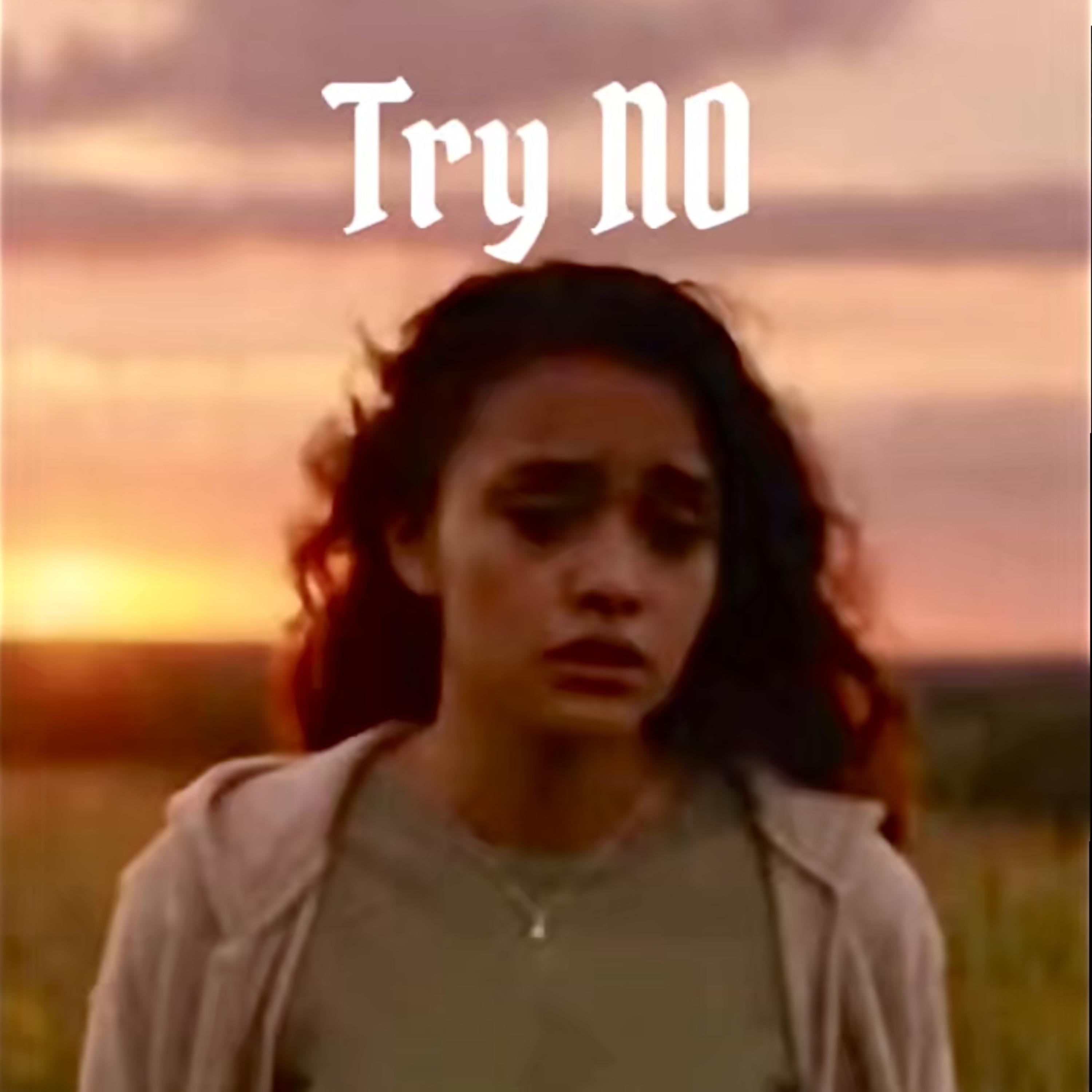 Try NO artwork