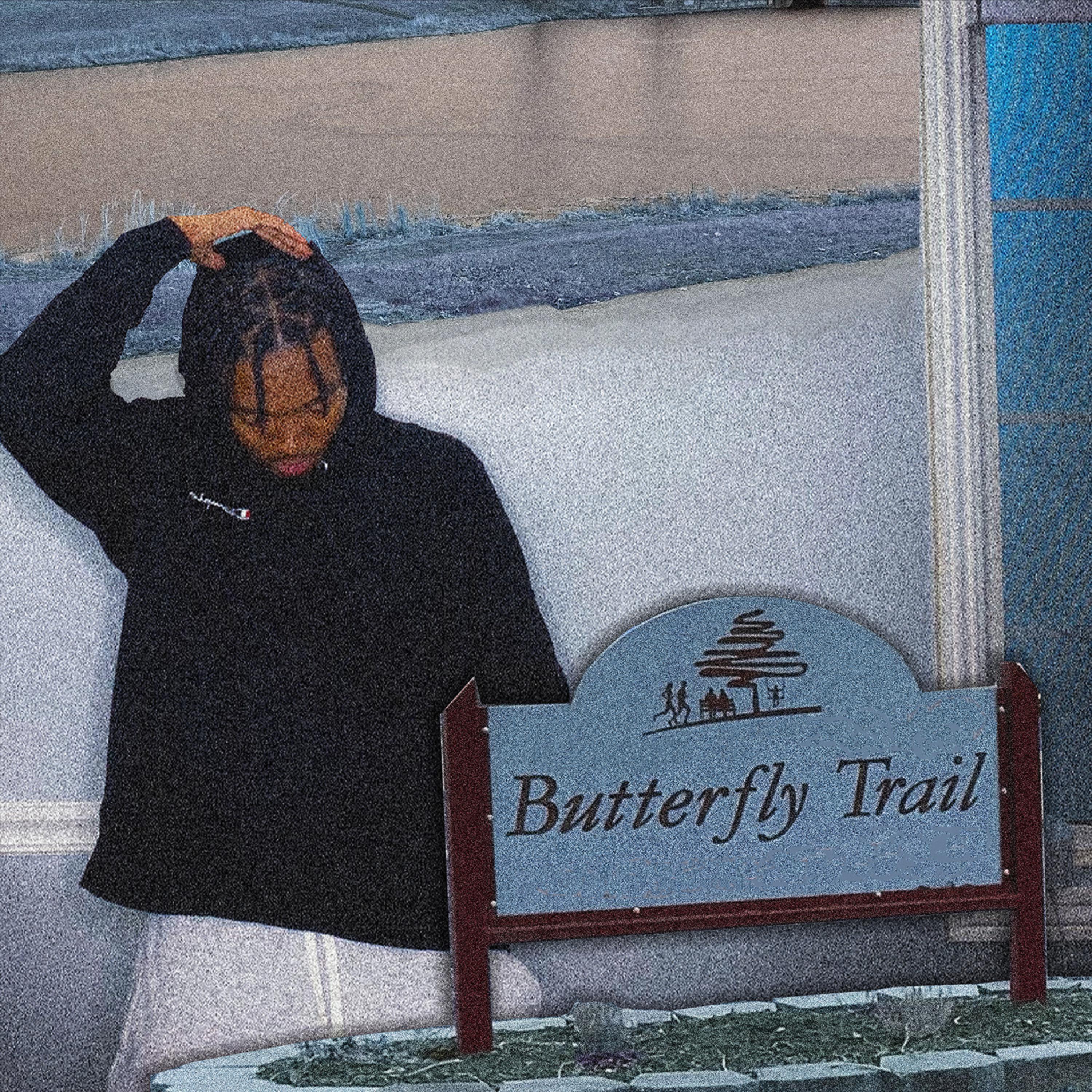 Butterfly Trail artwork