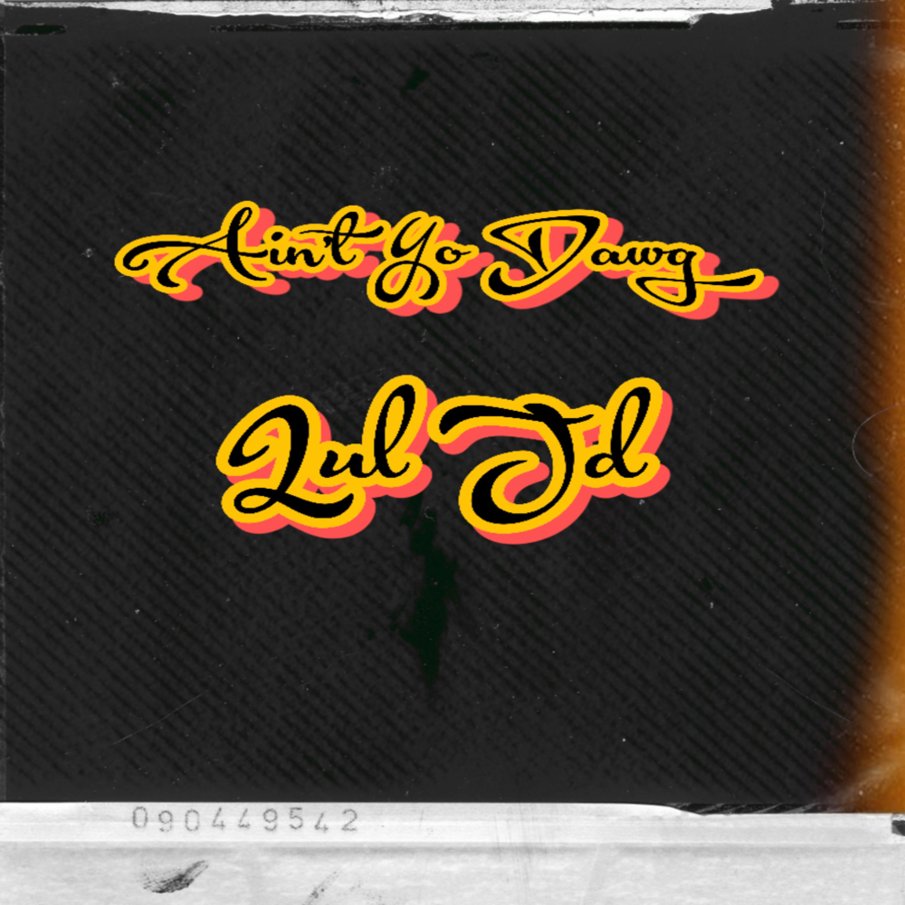 Aint Yo Dawg artwork