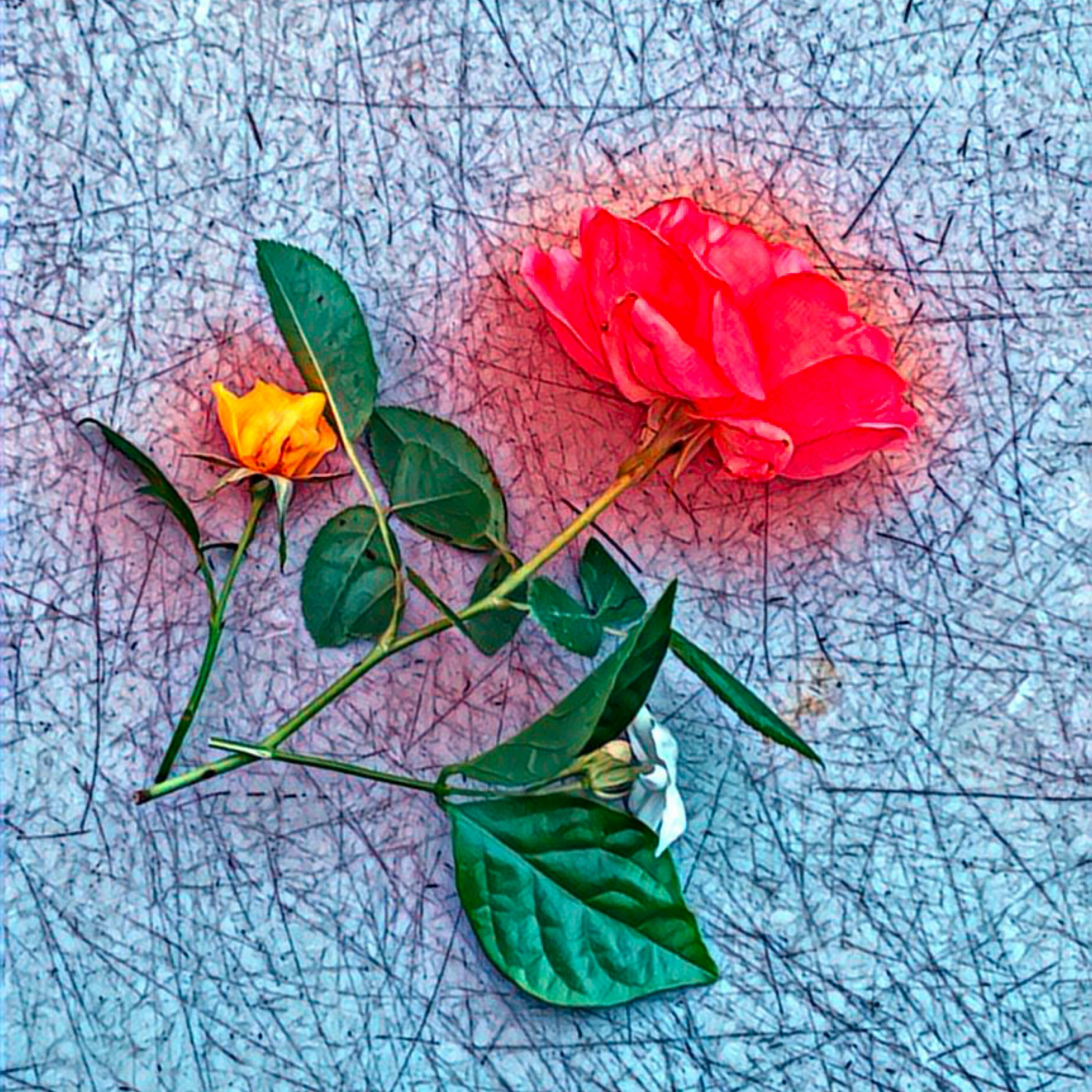 Floral Congregation  artwork