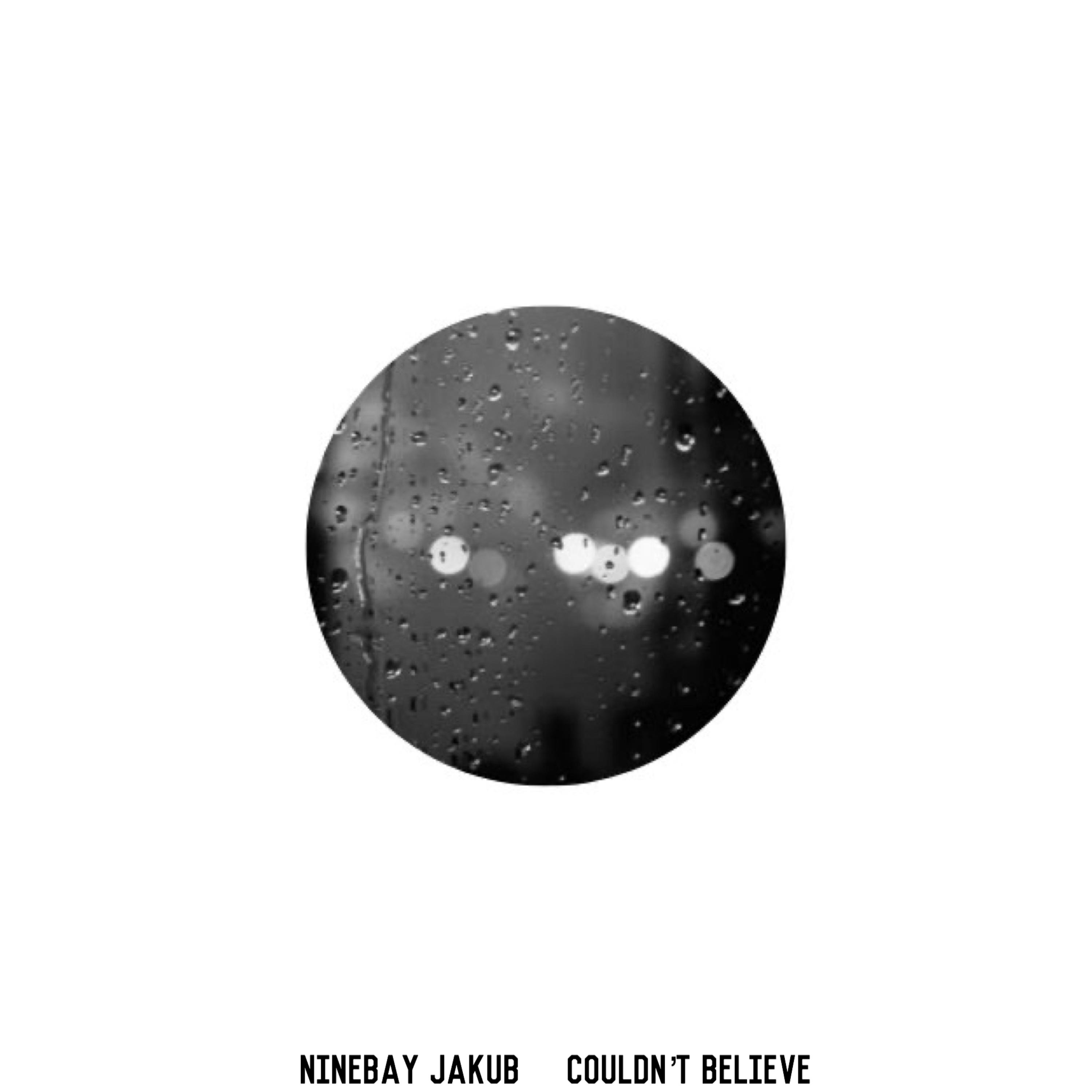 Couldn't beLIEve artwork