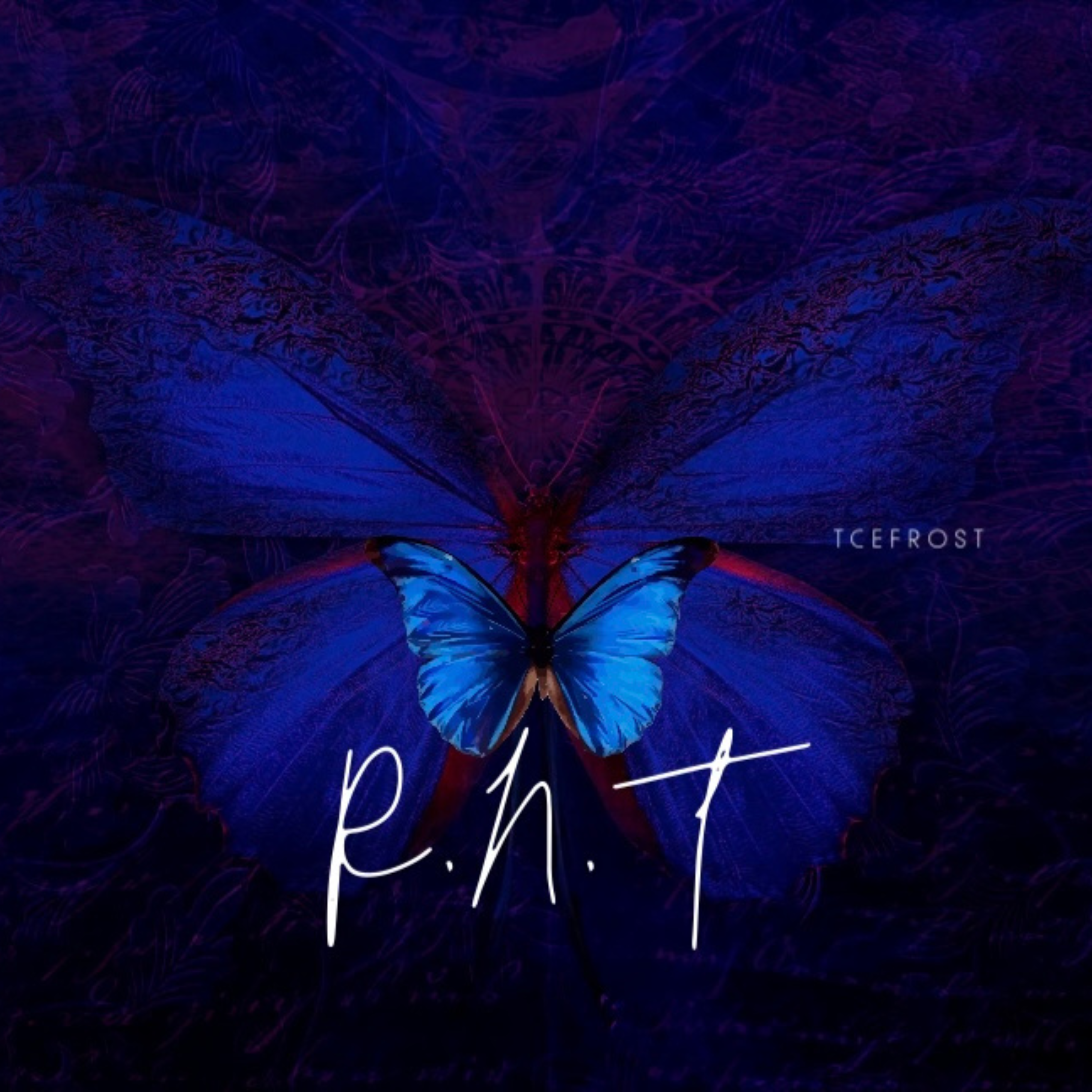 R.N.T artwork