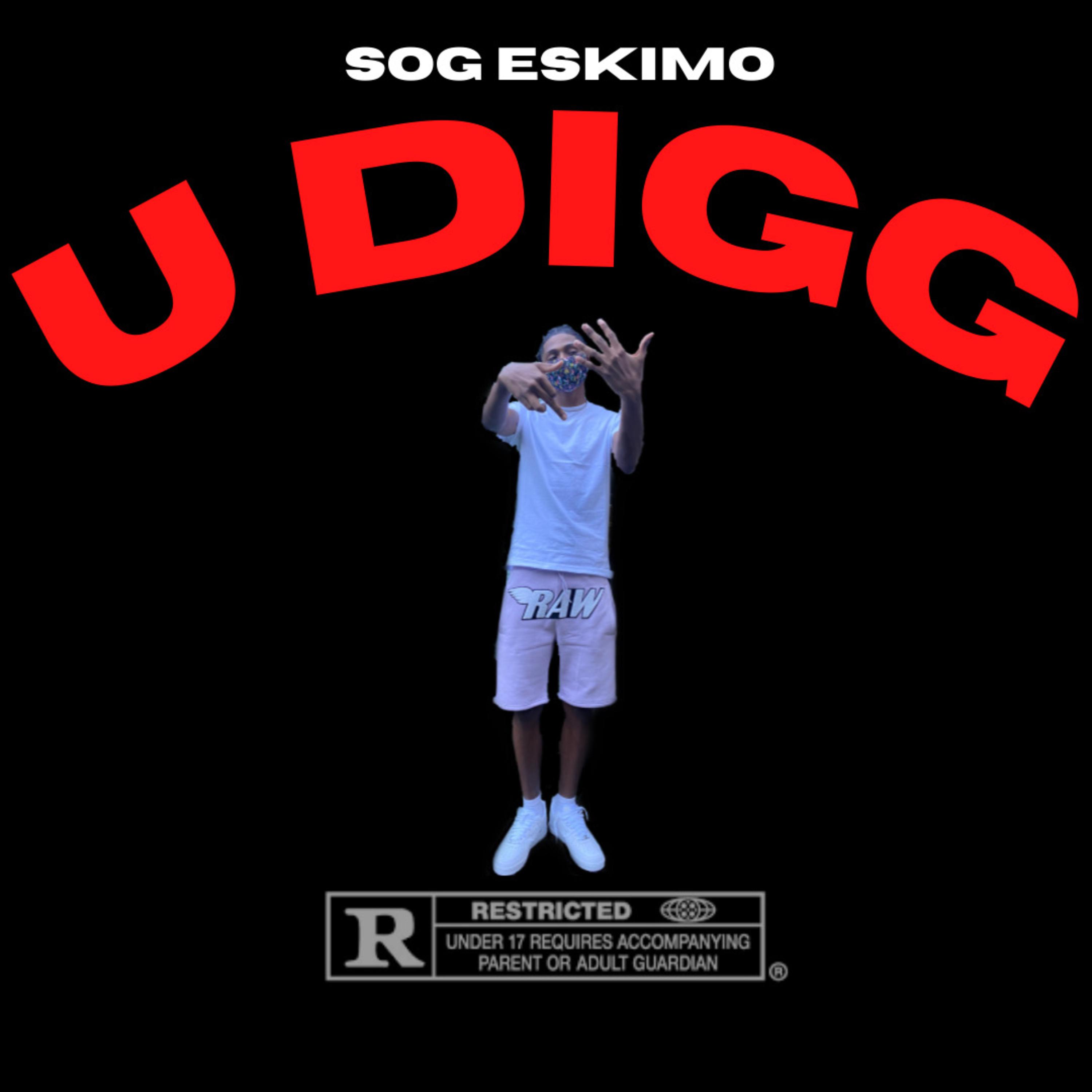 U Digg artwork