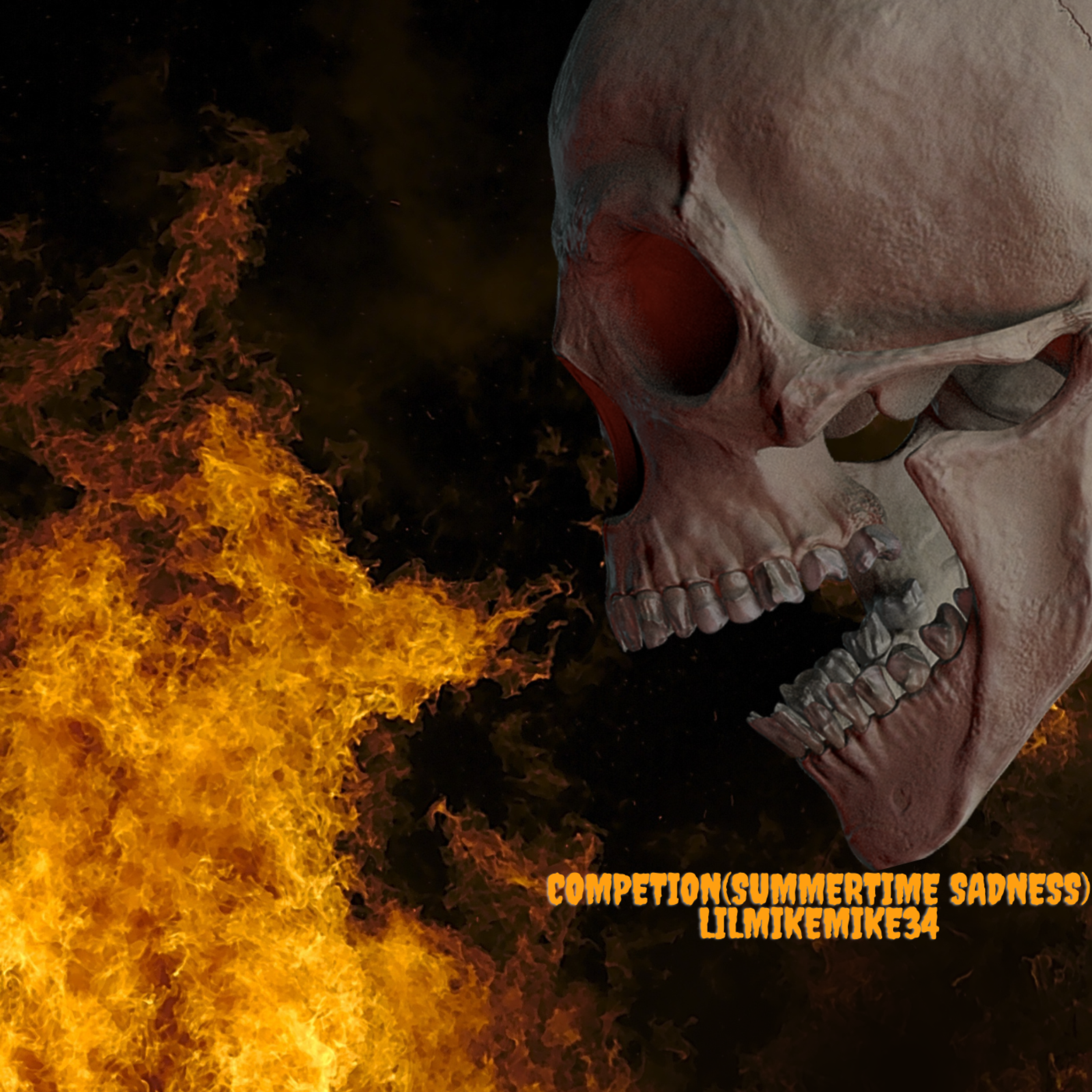 Competition(Summertime Sadness) artwork