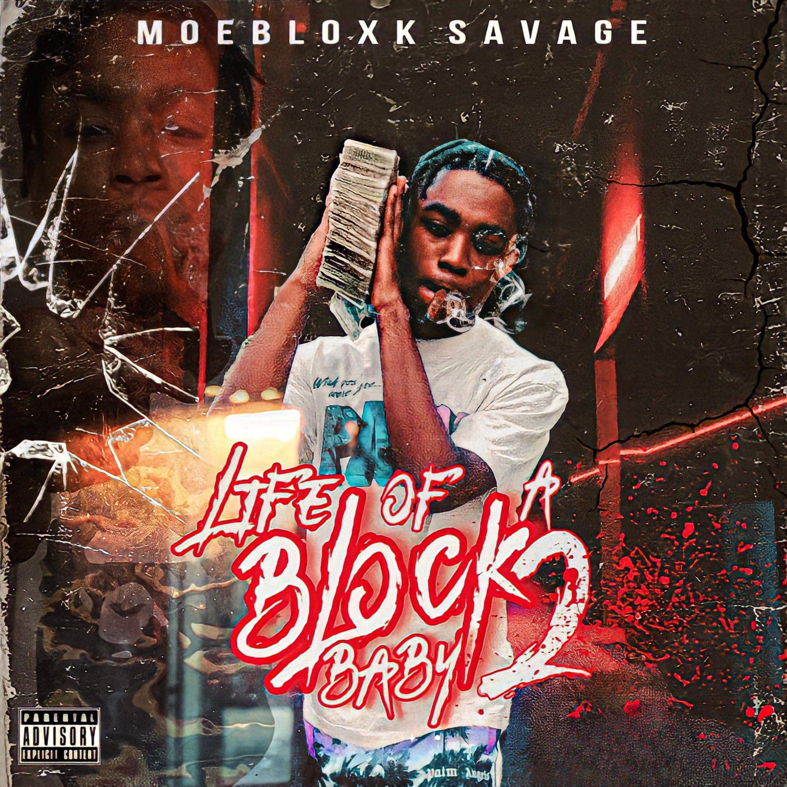 Life Of A Block Baby 2 by MoeBlock Savage cover art