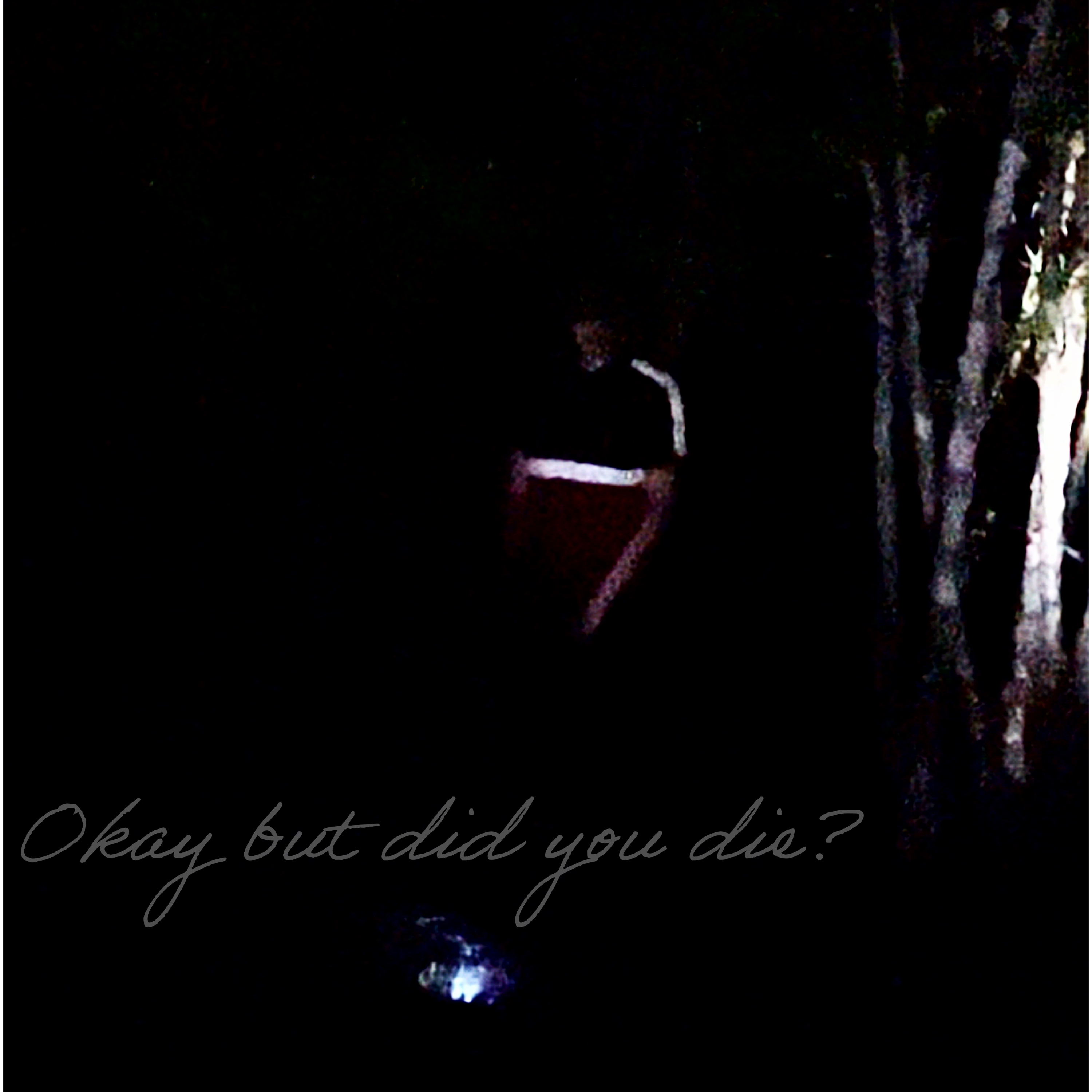 Okay But Did You Die? artwork