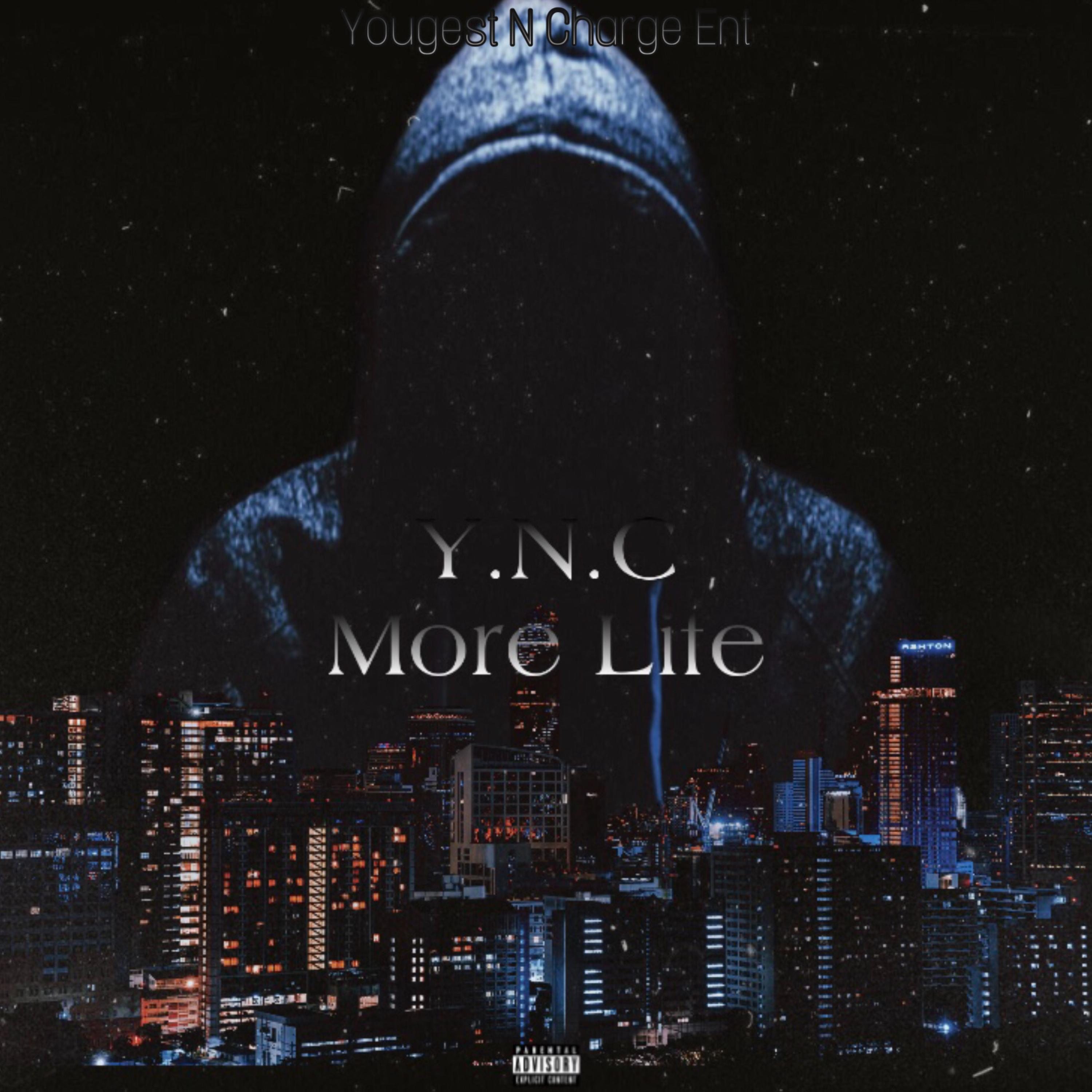 More Life artwork