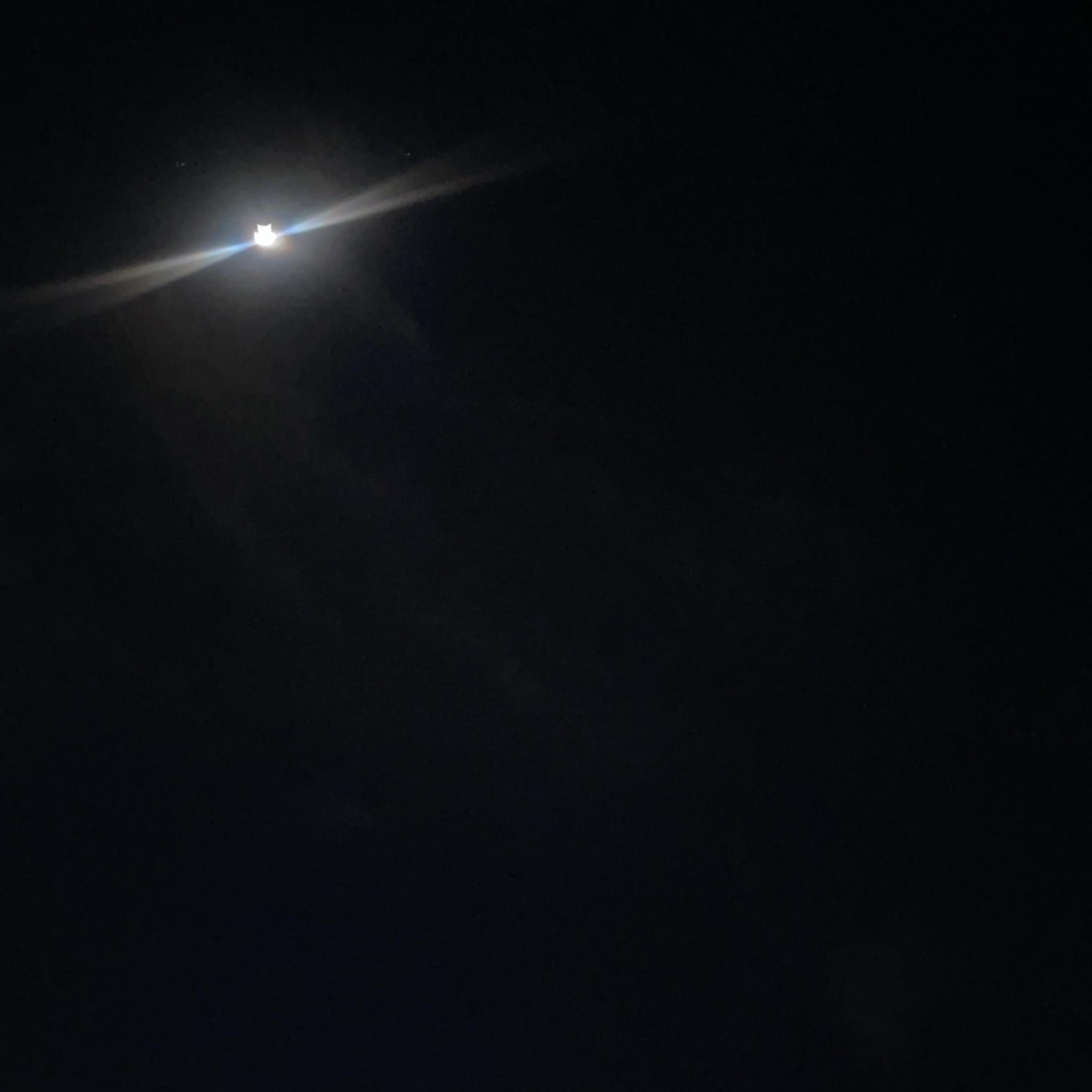 what it do to me artwork