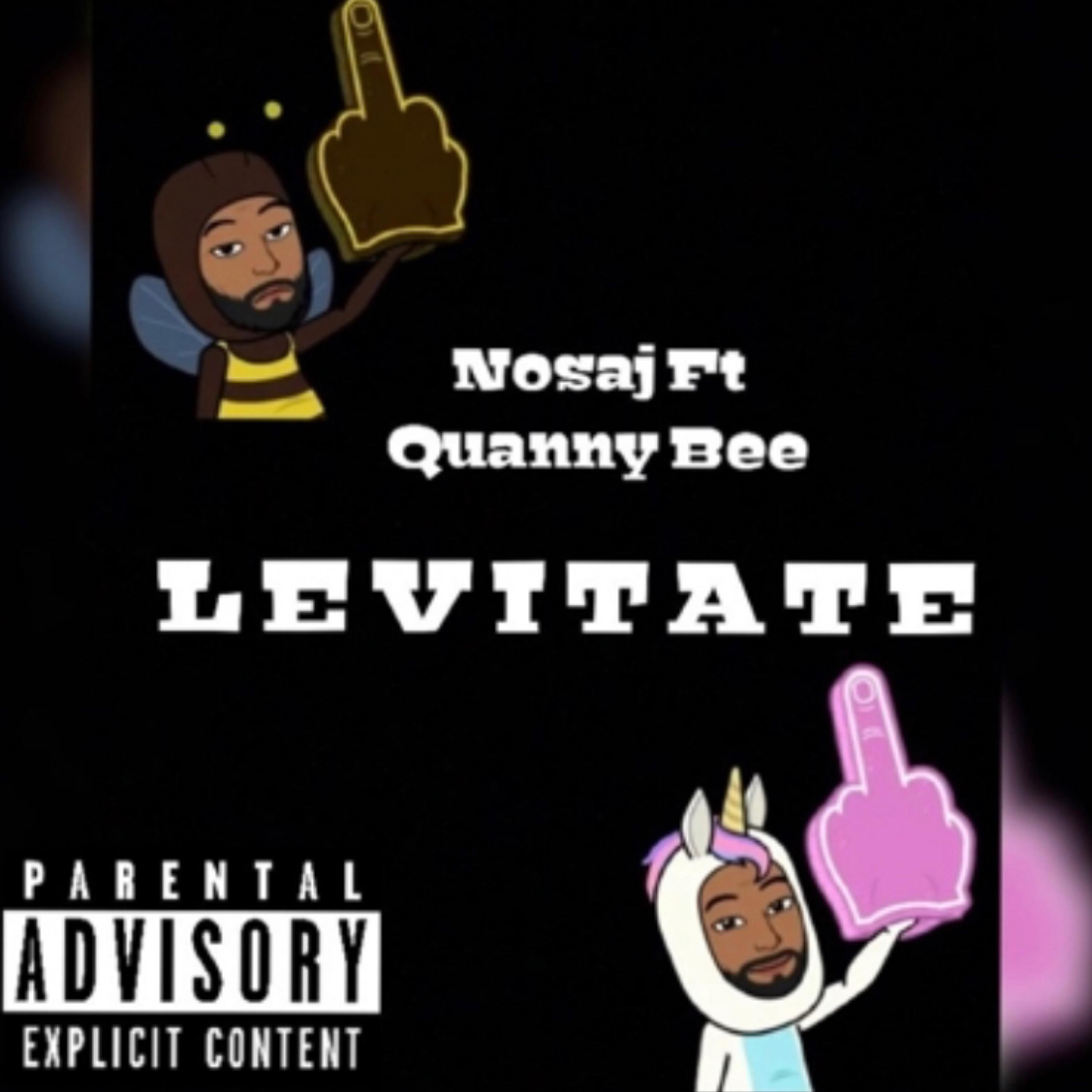 Levitate artwork